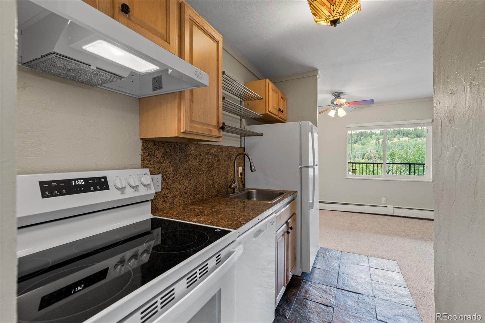 MLS Image #12 for 301 n french street,breckenridge, Colorado