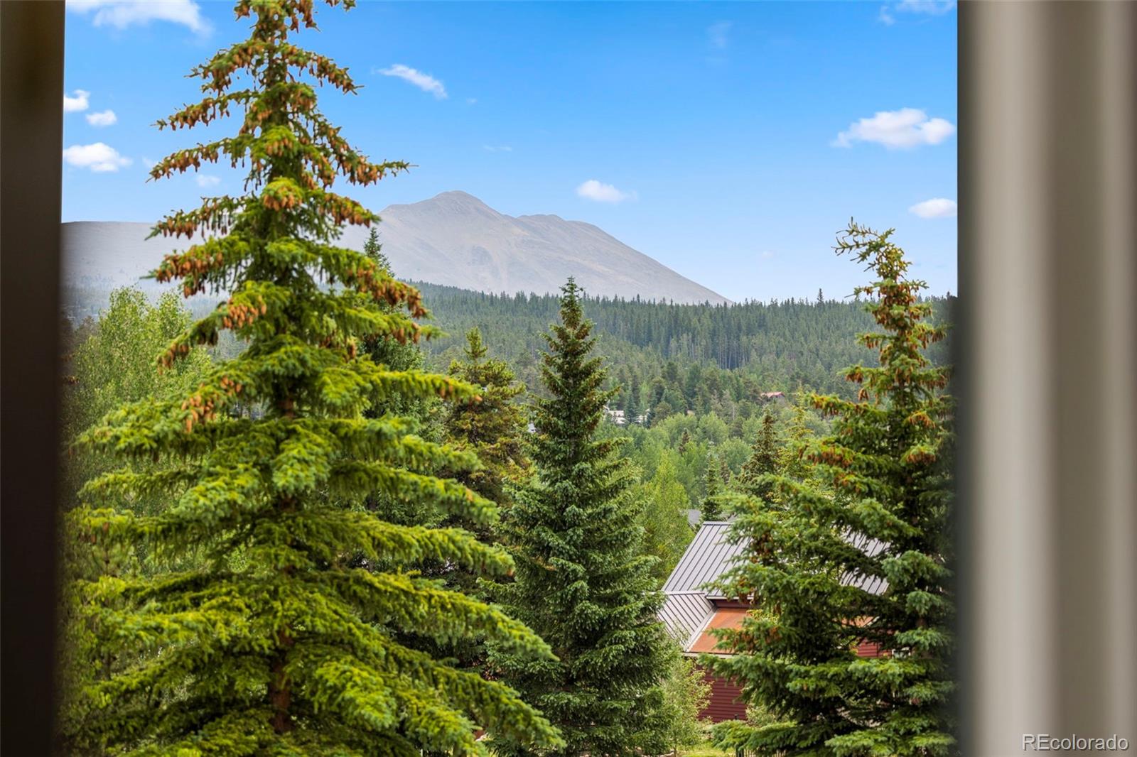 MLS Image #13 for 301 n french street,breckenridge, Colorado