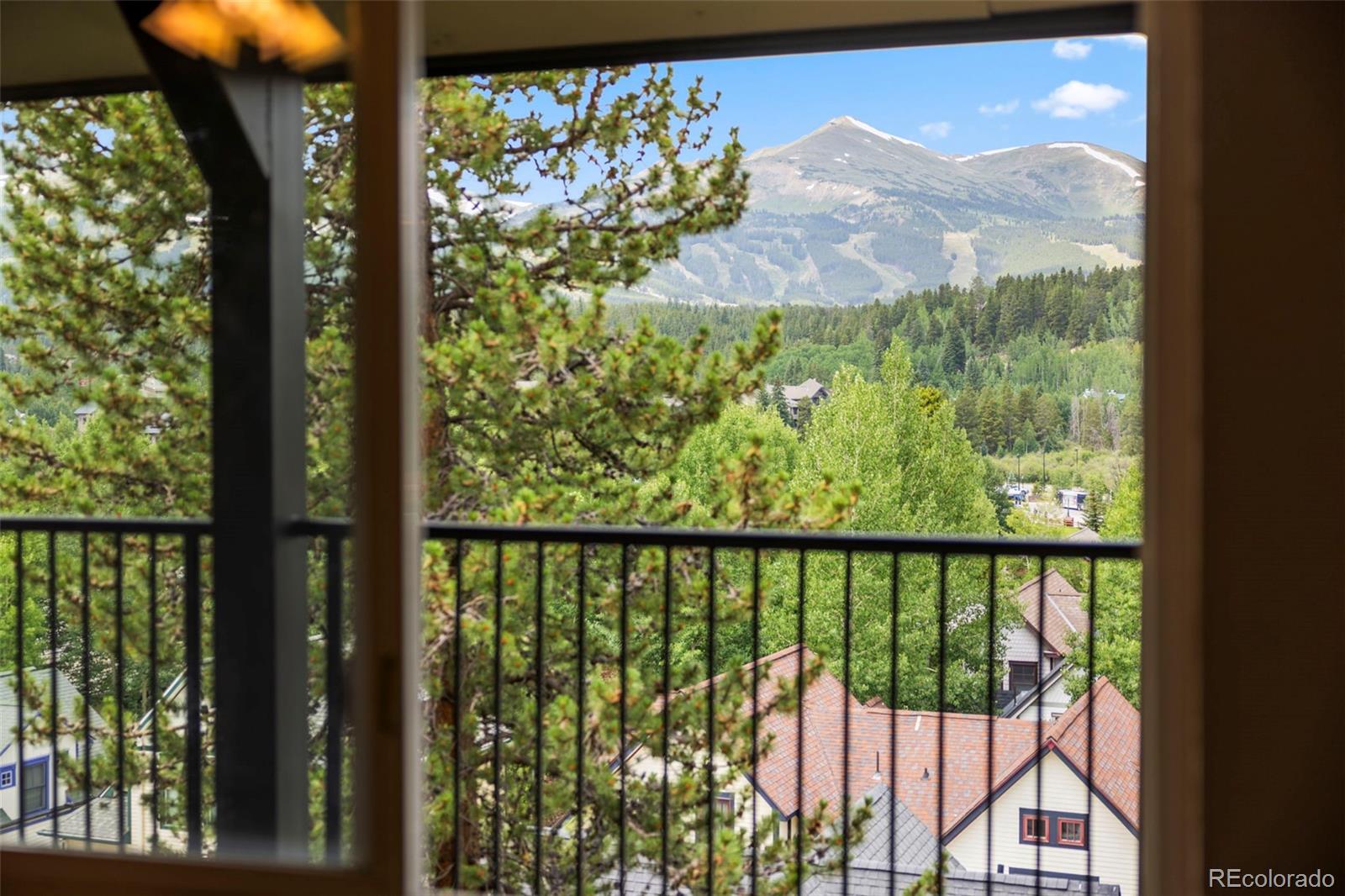 MLS Image #20 for 301 n french street,breckenridge, Colorado