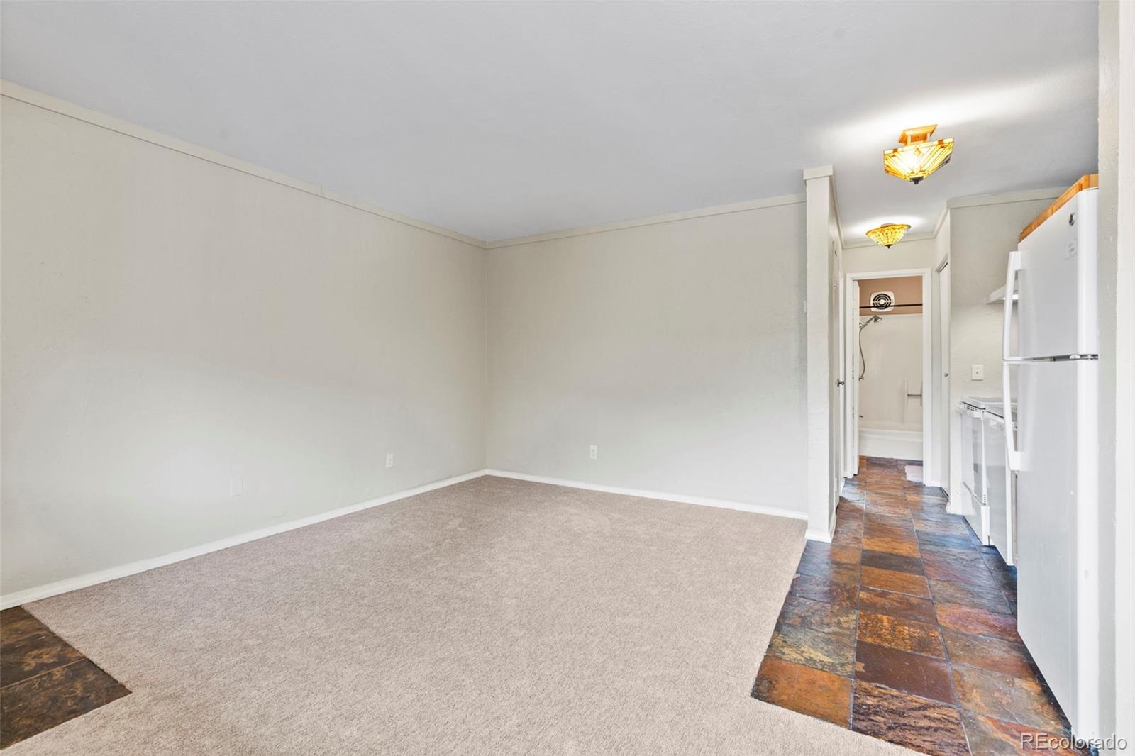 MLS Image #7 for 301 n french street,breckenridge, Colorado
