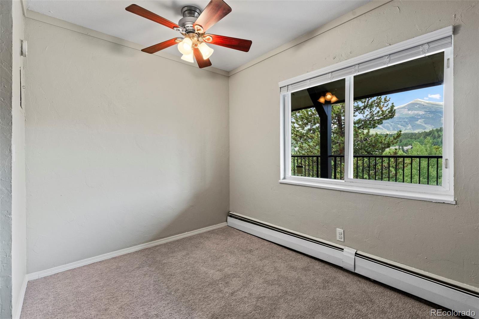 MLS Image #8 for 301 n french street,breckenridge, Colorado