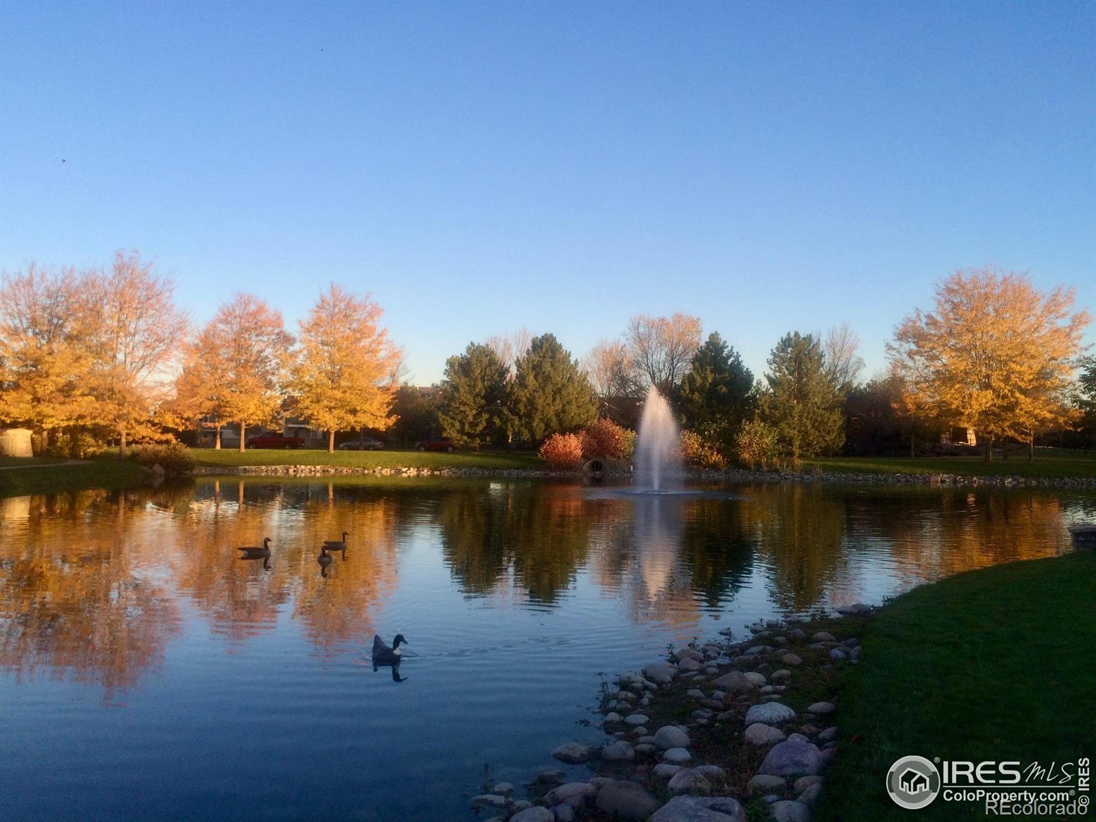 MLS Image #33 for 5739  falling water drive,fort collins, Colorado