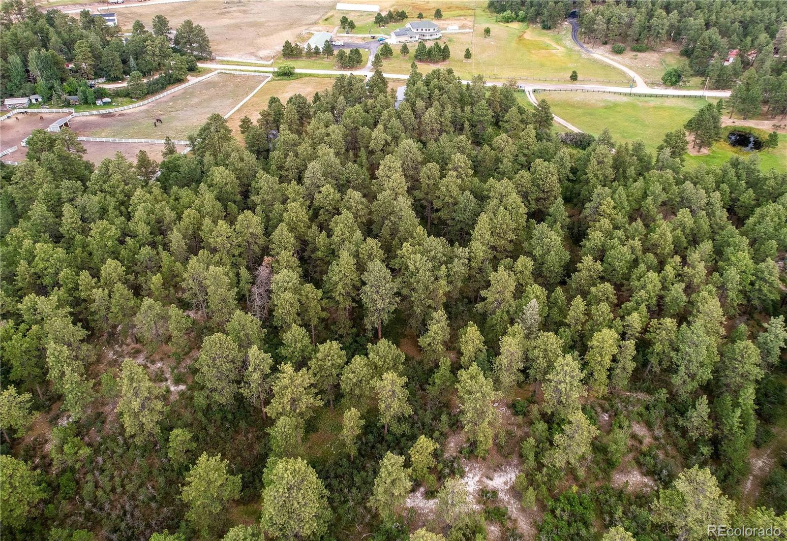 MLS Image #46 for 3278  estates circle,larkspur, Colorado