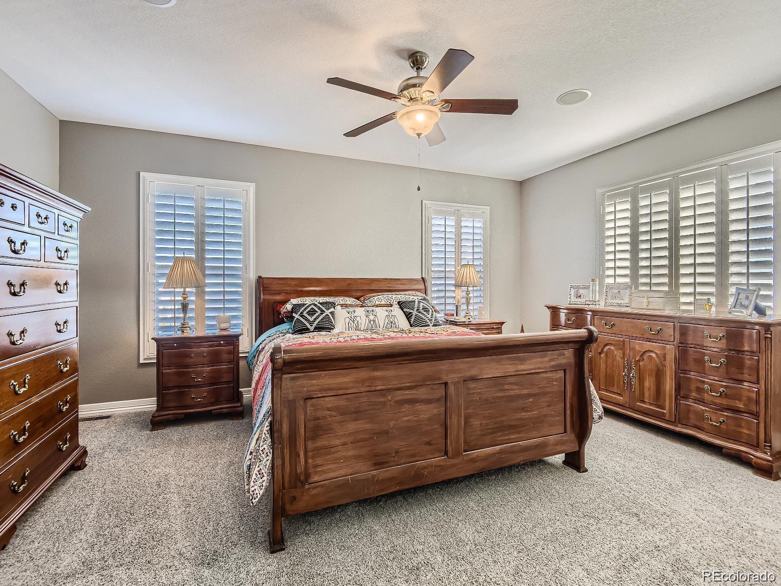 MLS Image #10 for 10106  amston street,parker, Colorado