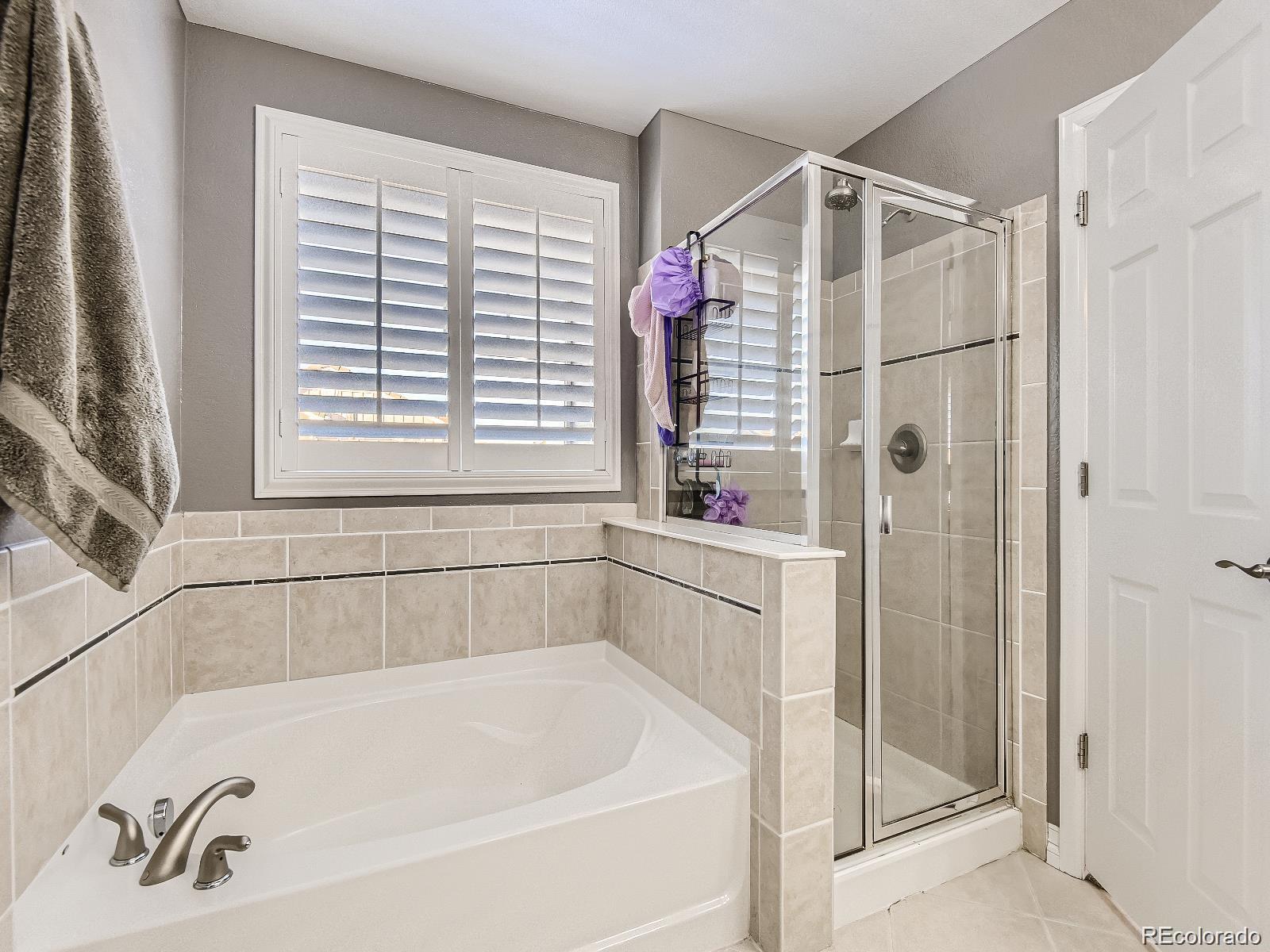 MLS Image #12 for 10106  amston street,parker, Colorado