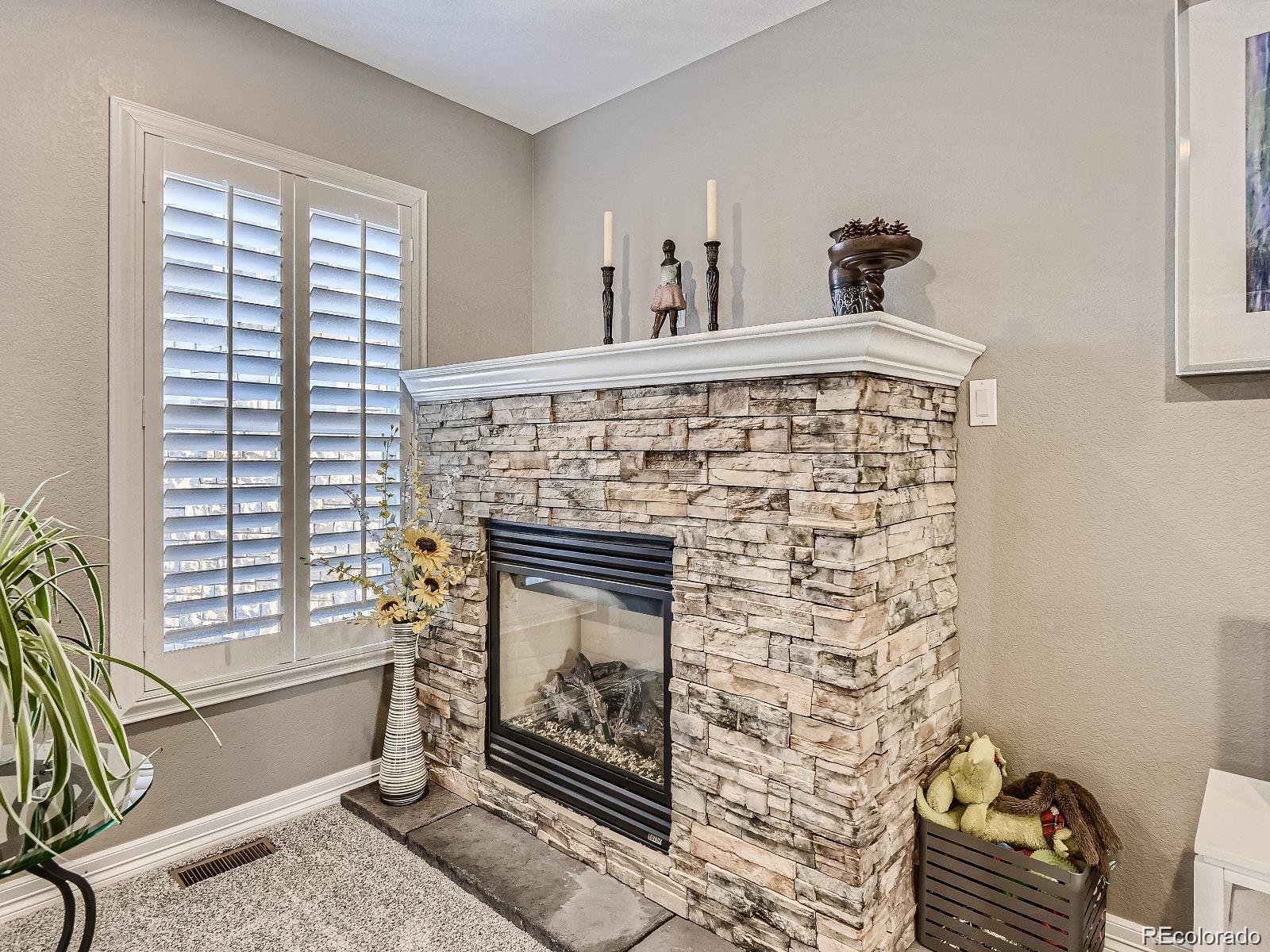 MLS Image #5 for 10106  amston street,parker, Colorado