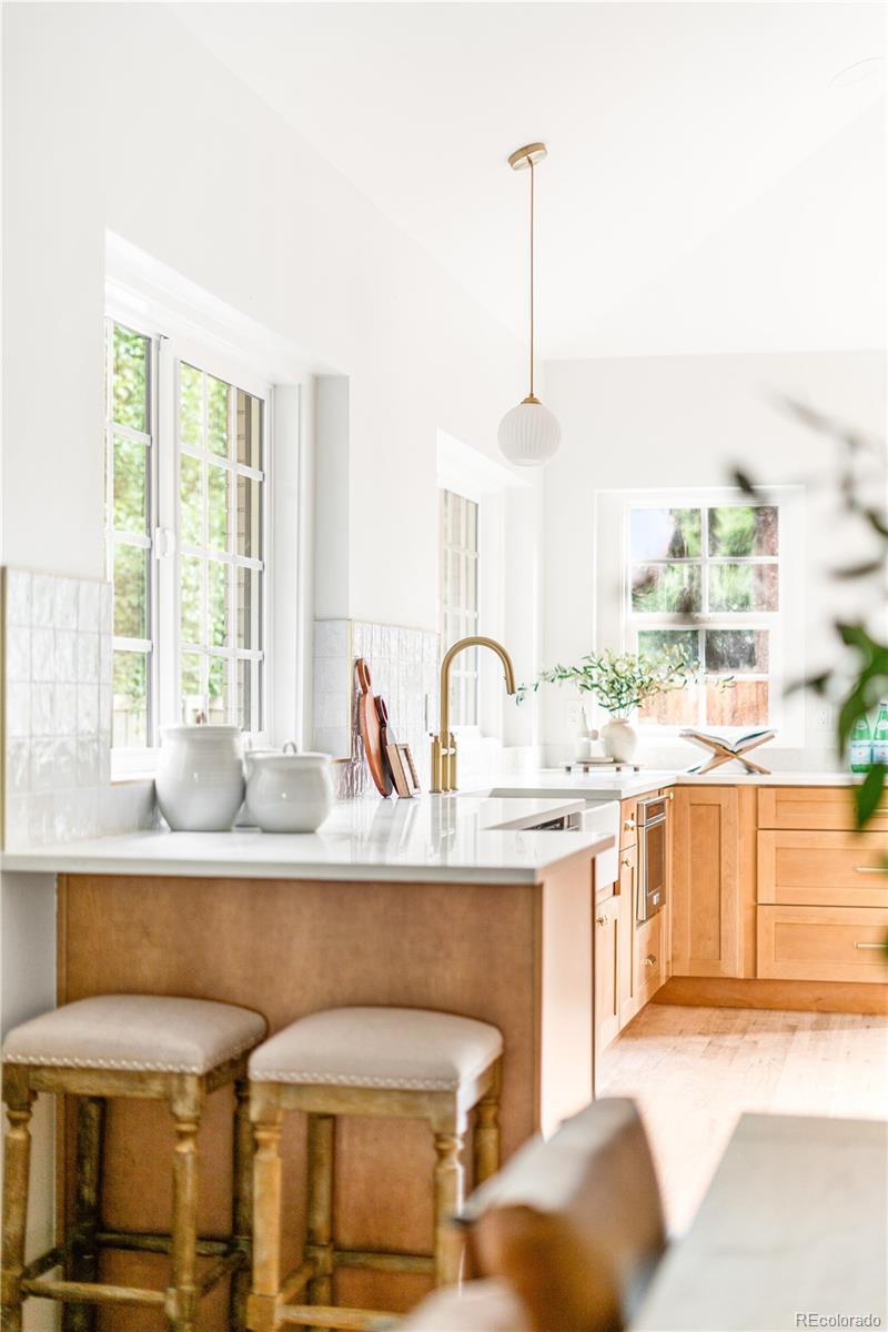 MLS Image #5 for 977  adams street,denver, Colorado