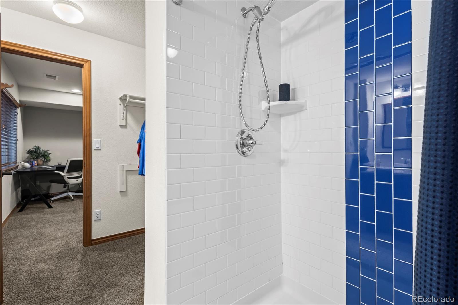 MLS Image #29 for 15128 w 75th place,arvada, Colorado