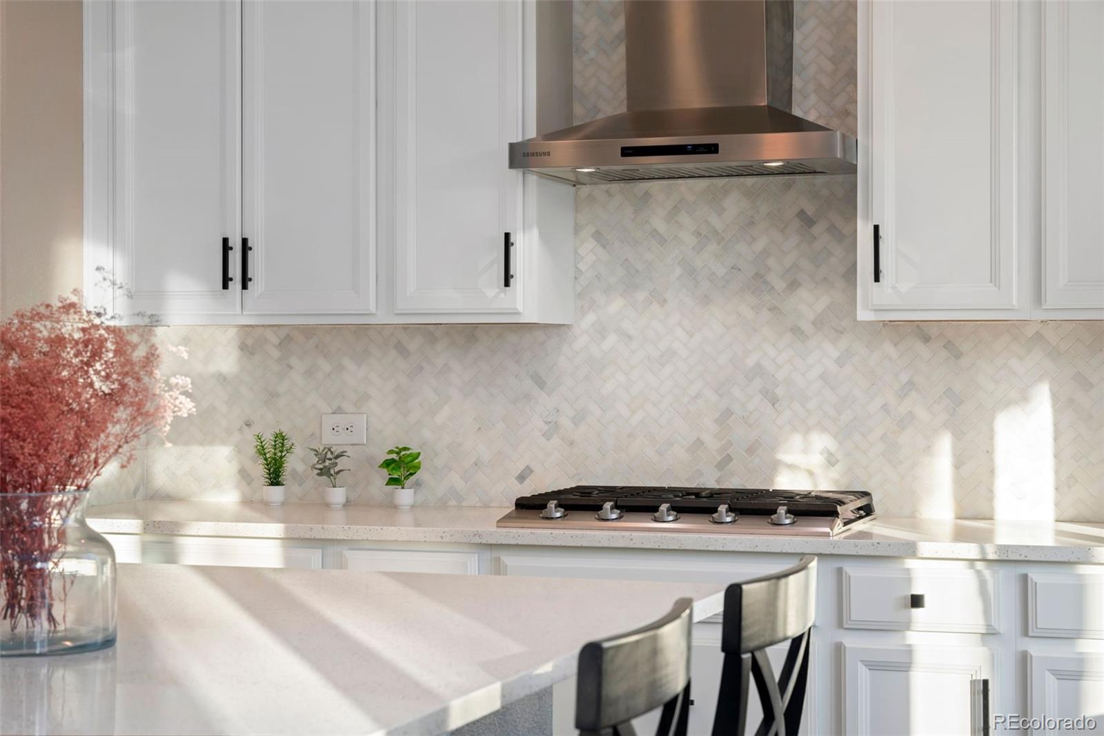 MLS Image #13 for 1178  mcmurdo circle,castle rock, Colorado