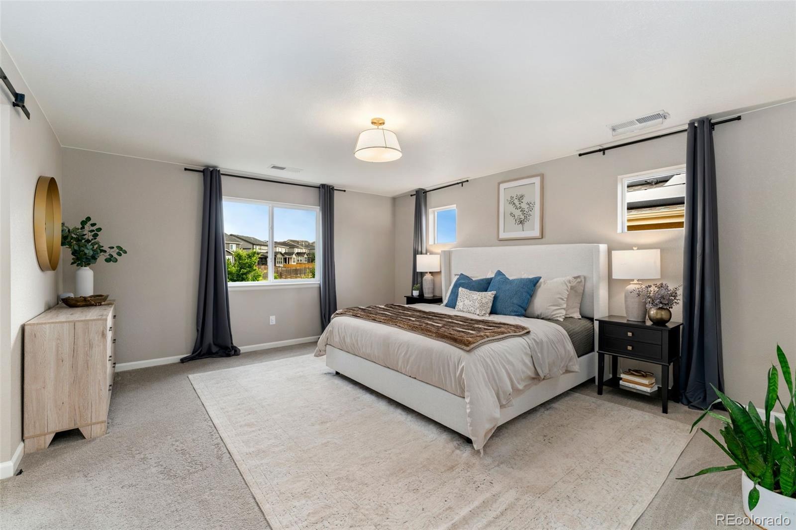 MLS Image #17 for 1178  mcmurdo circle,castle rock, Colorado