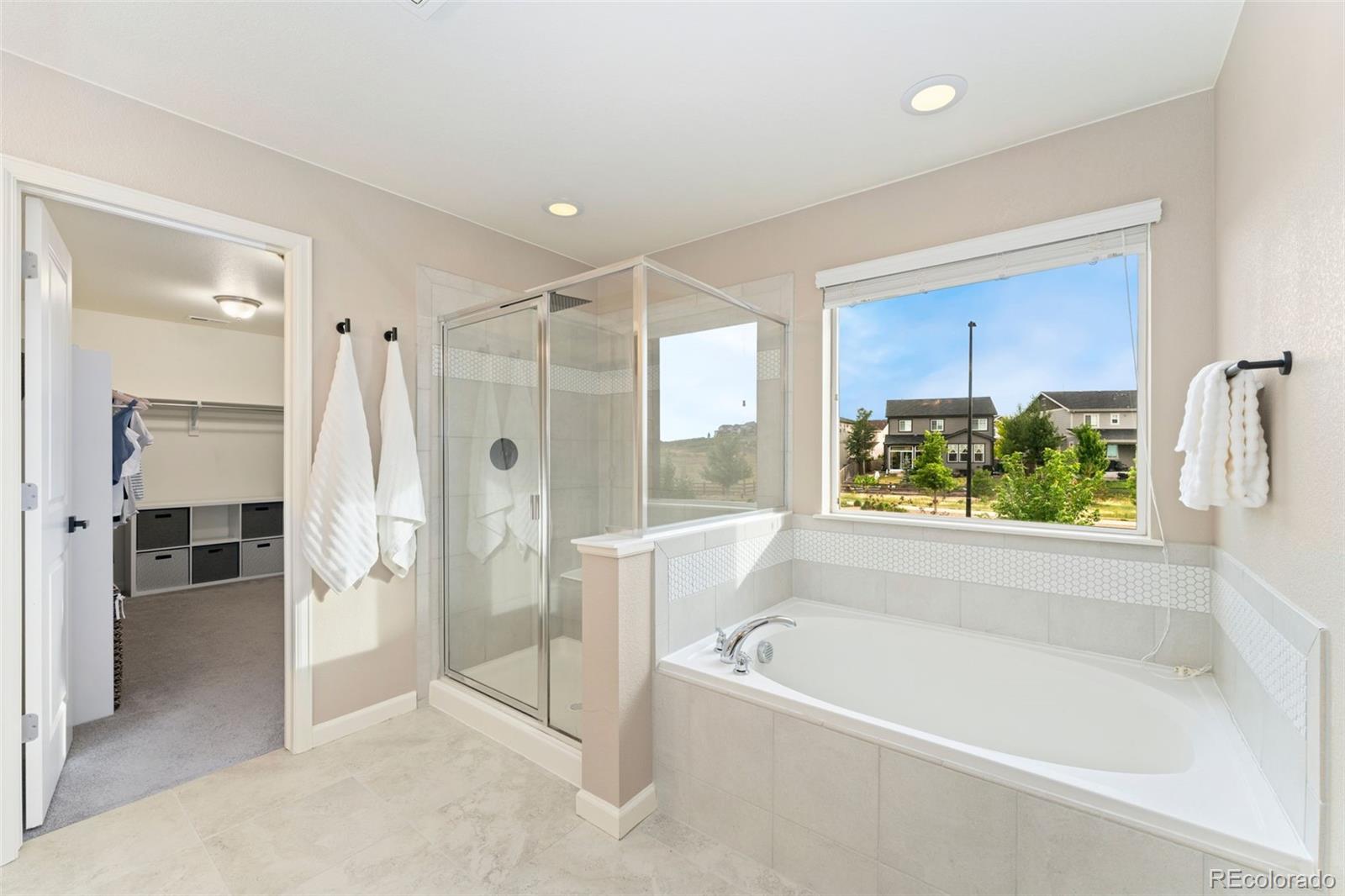 MLS Image #22 for 1178  mcmurdo circle,castle rock, Colorado