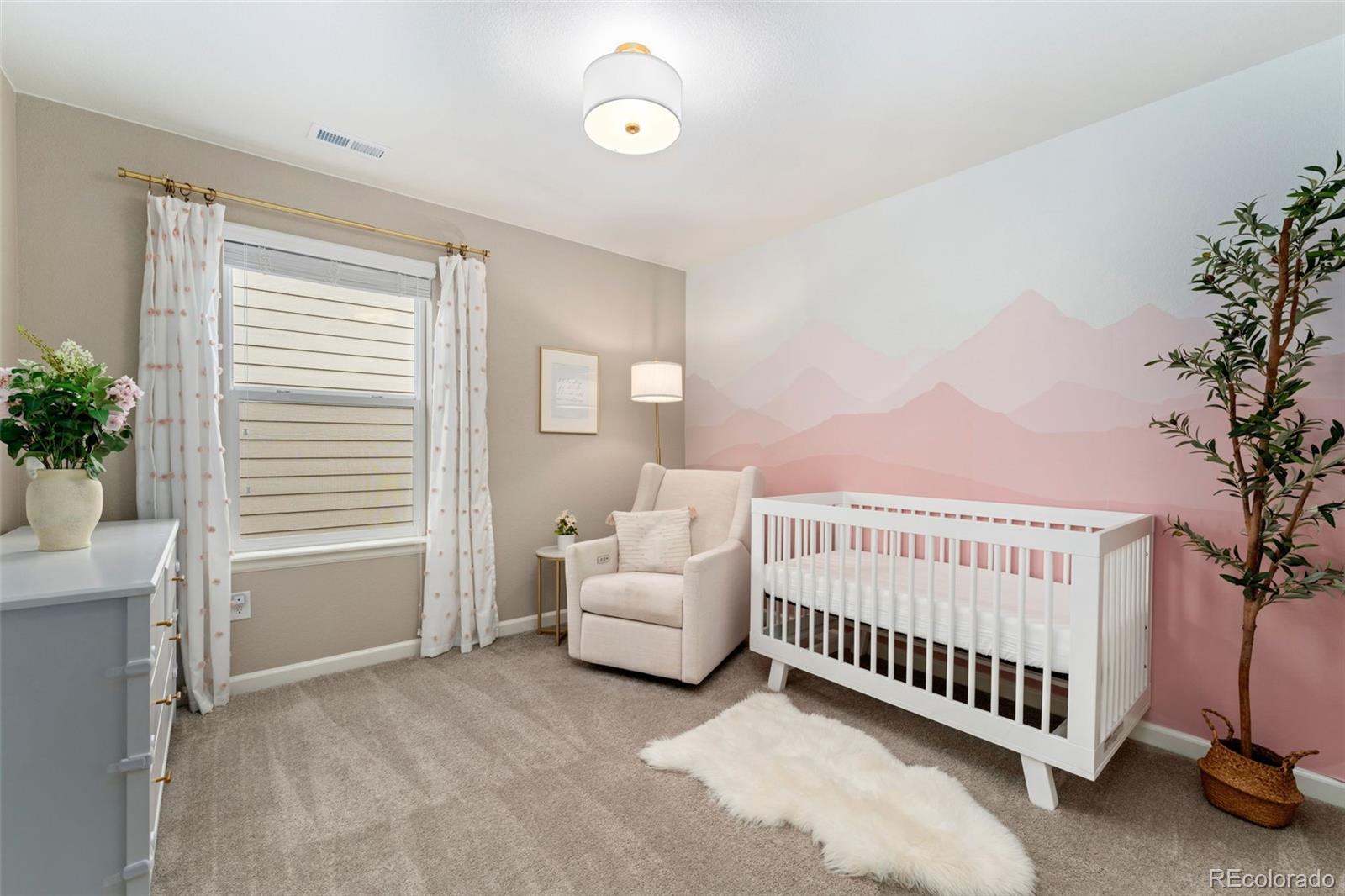 MLS Image #26 for 1178  mcmurdo circle,castle rock, Colorado