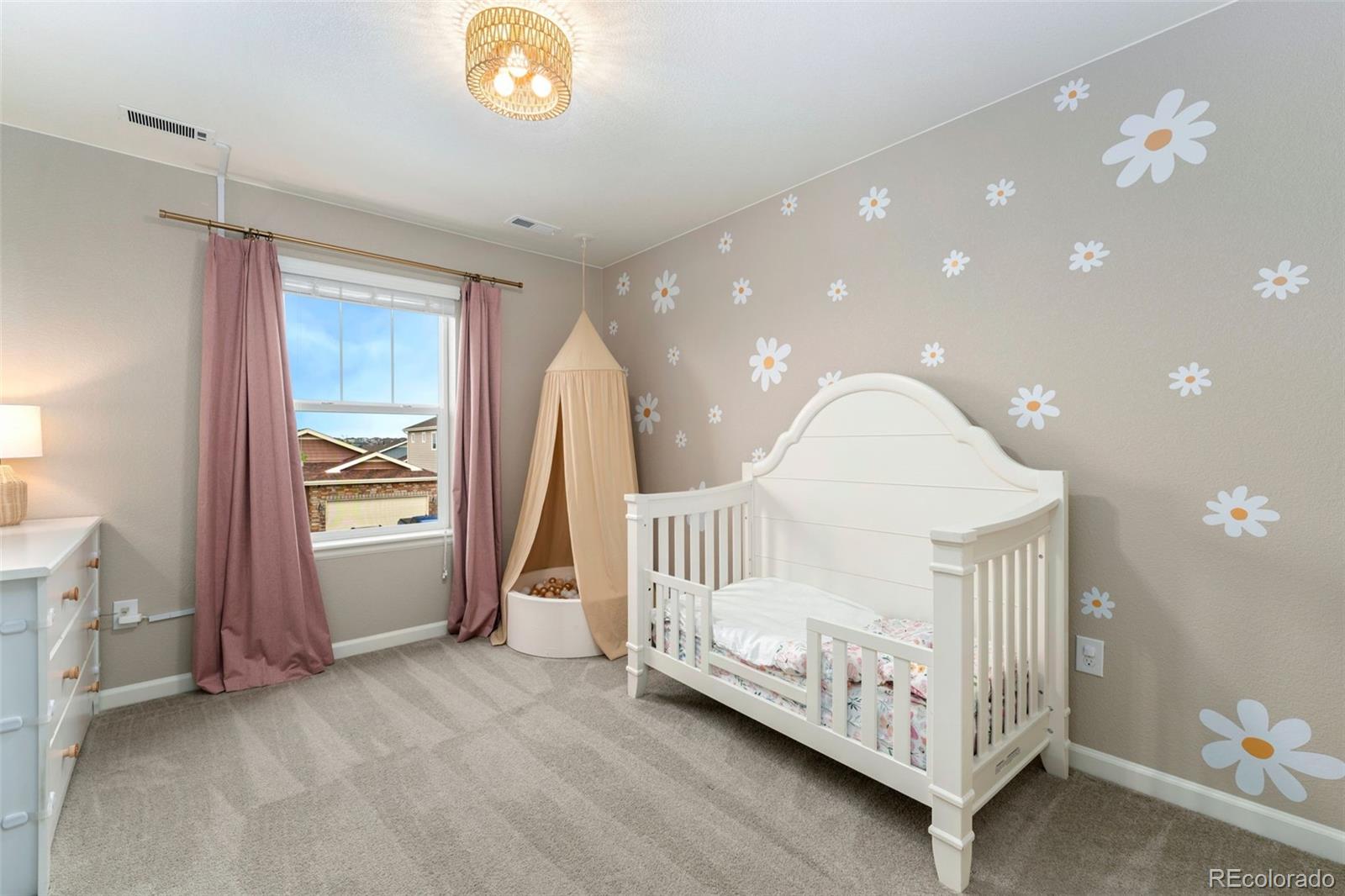 MLS Image #27 for 1178  mcmurdo circle,castle rock, Colorado
