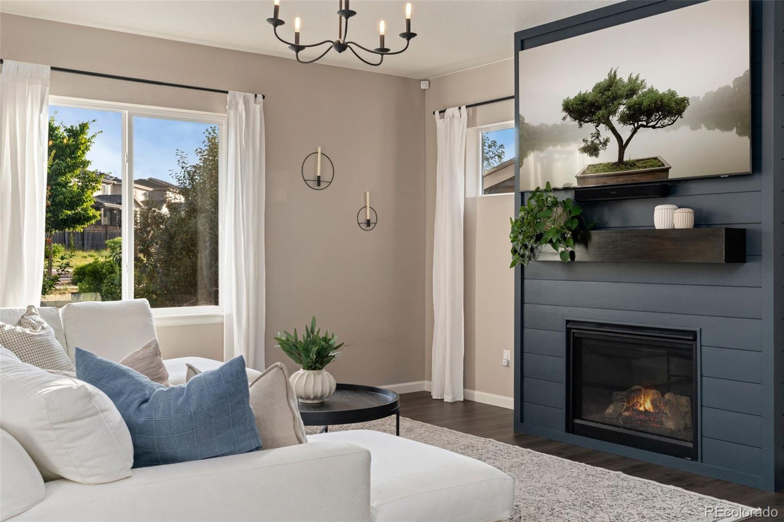 MLS Image #5 for 1178  mcmurdo circle,castle rock, Colorado