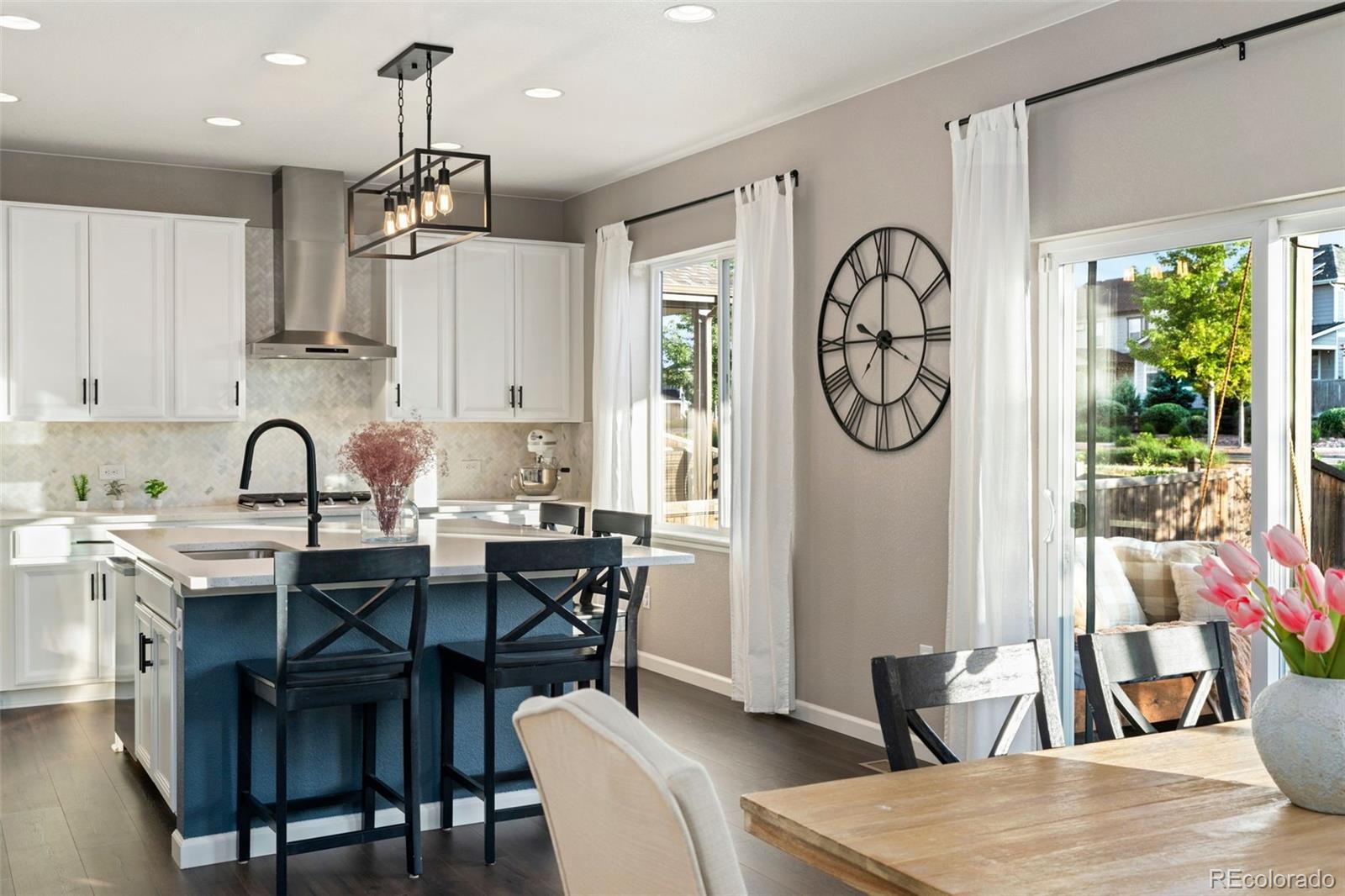 MLS Image #9 for 1178  mcmurdo circle,castle rock, Colorado