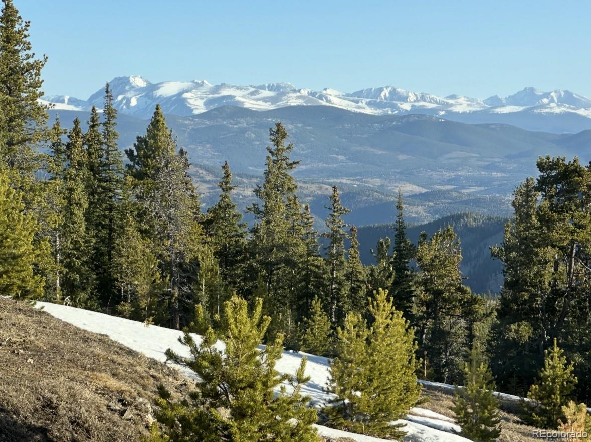 MLS Image #1 for 1539  raven ridge road,idaho springs, Colorado