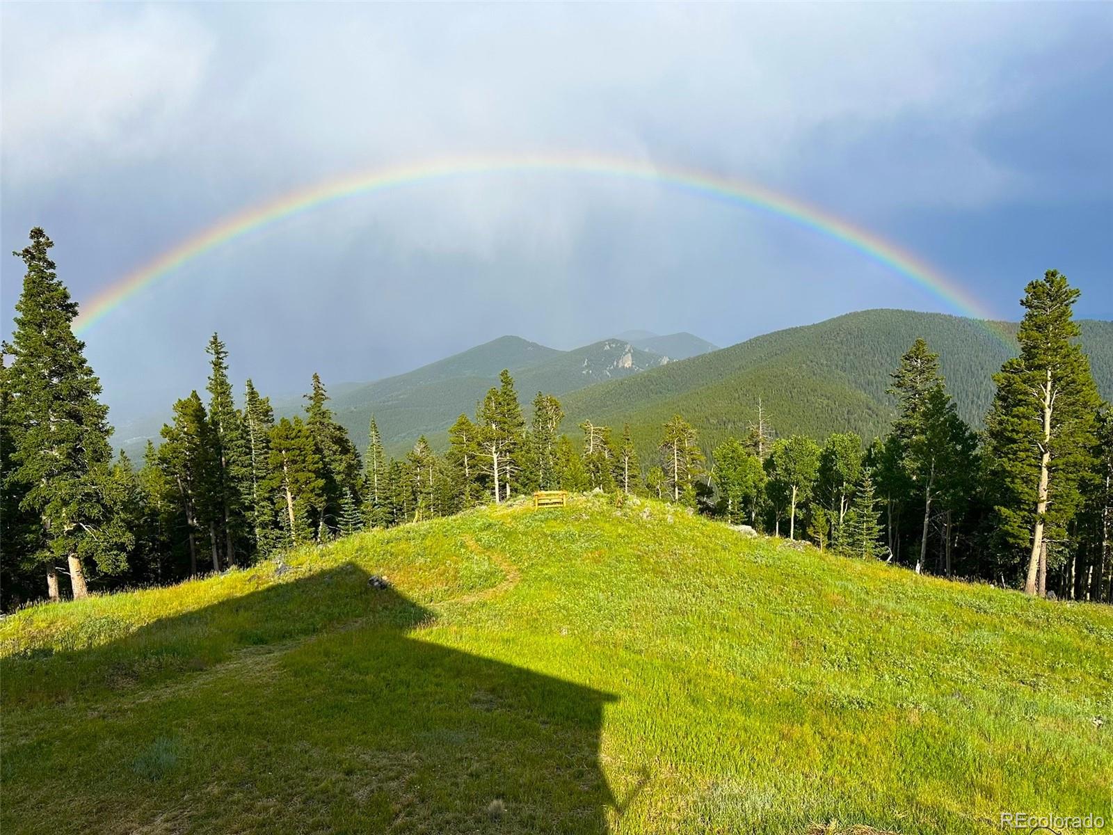 MLS Image #11 for 1539  raven ridge road,idaho springs, Colorado