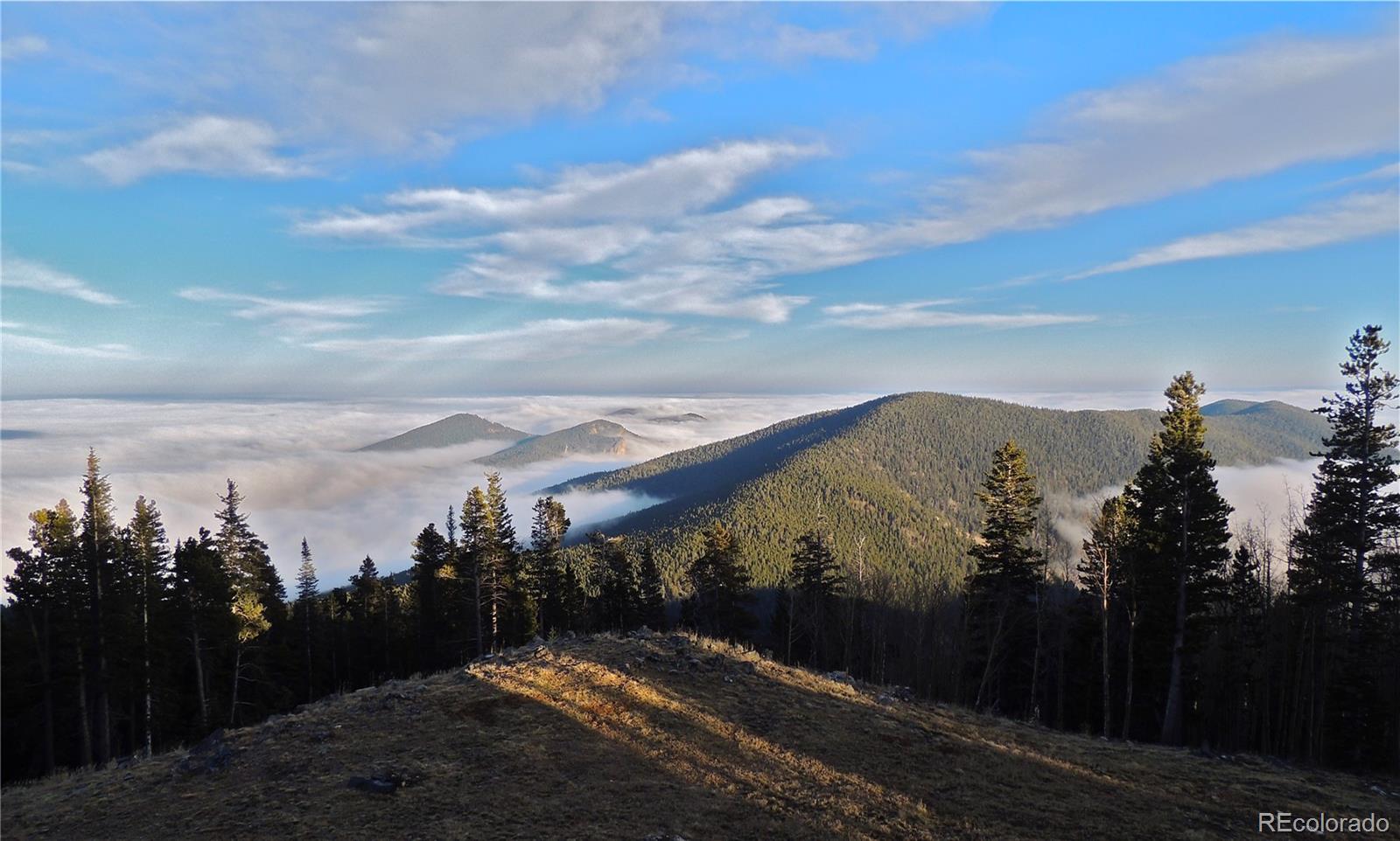 MLS Image #3 for 1539  raven ridge road,idaho springs, Colorado