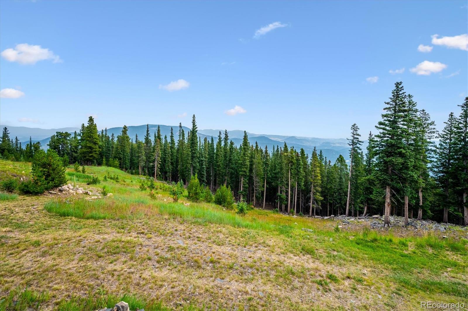 MLS Image #41 for 1539  raven ridge road,idaho springs, Colorado