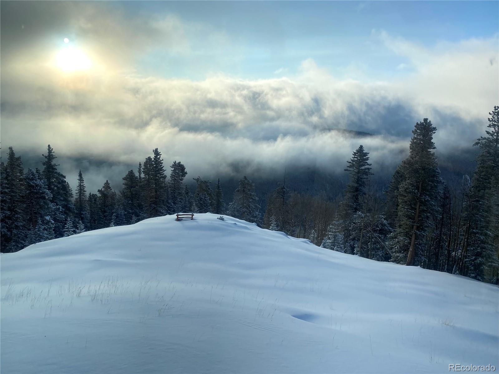 MLS Image #44 for 1539  raven ridge road,idaho springs, Colorado
