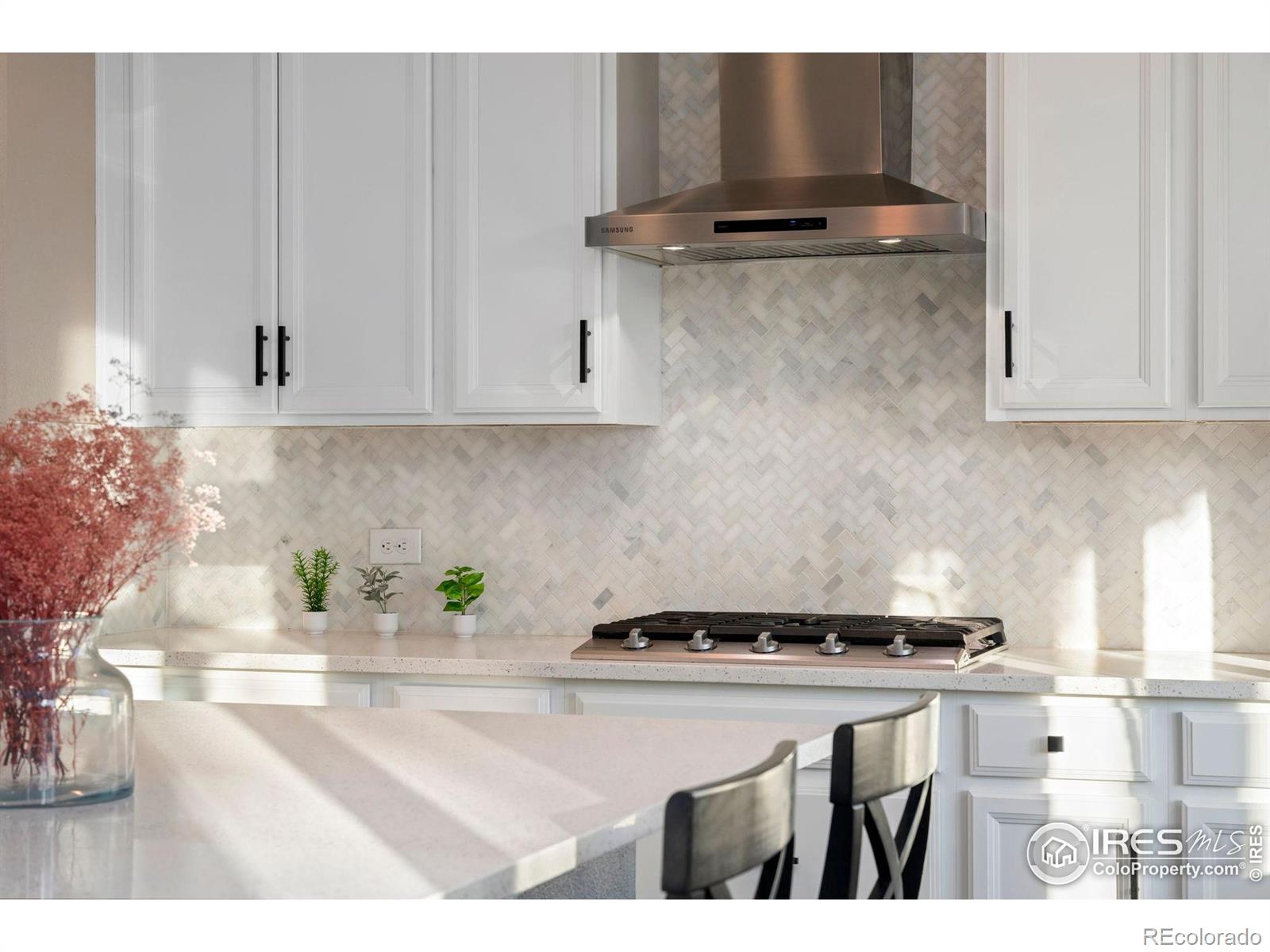 MLS Image #13 for 1178  mcmurdo circle,castle rock, Colorado