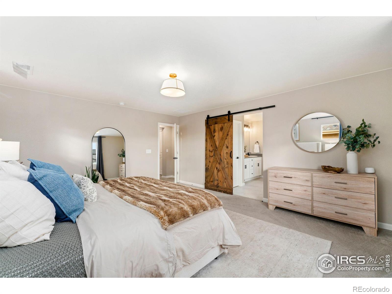 MLS Image #18 for 1178  mcmurdo circle,castle rock, Colorado