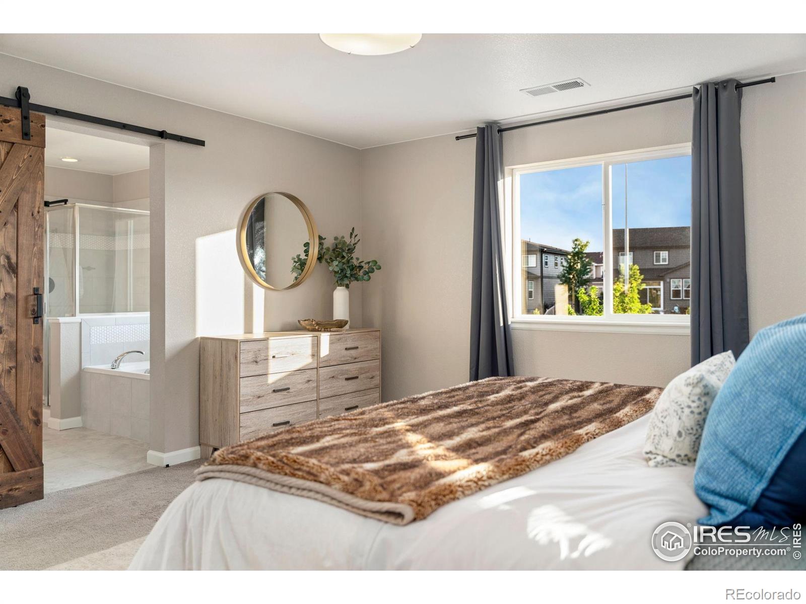 MLS Image #20 for 1178  mcmurdo circle,castle rock, Colorado