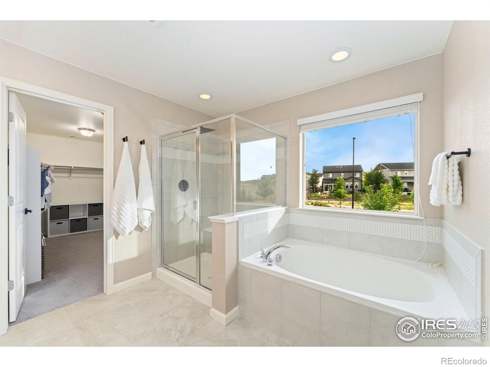 MLS Image #22 for 1178  mcmurdo circle,castle rock, Colorado