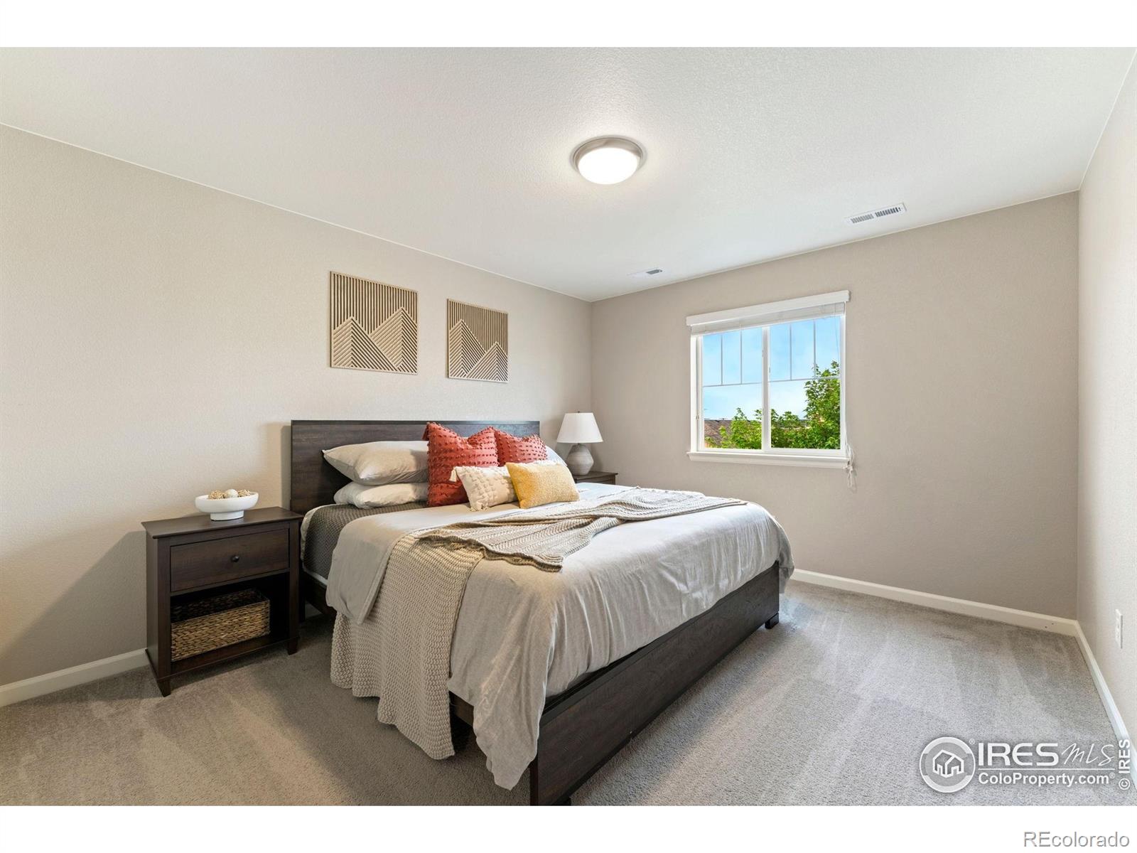 MLS Image #23 for 1178  mcmurdo circle,castle rock, Colorado