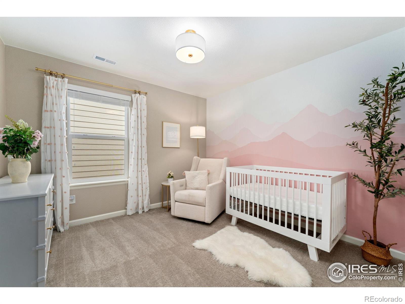 MLS Image #26 for 1178  mcmurdo circle,castle rock, Colorado