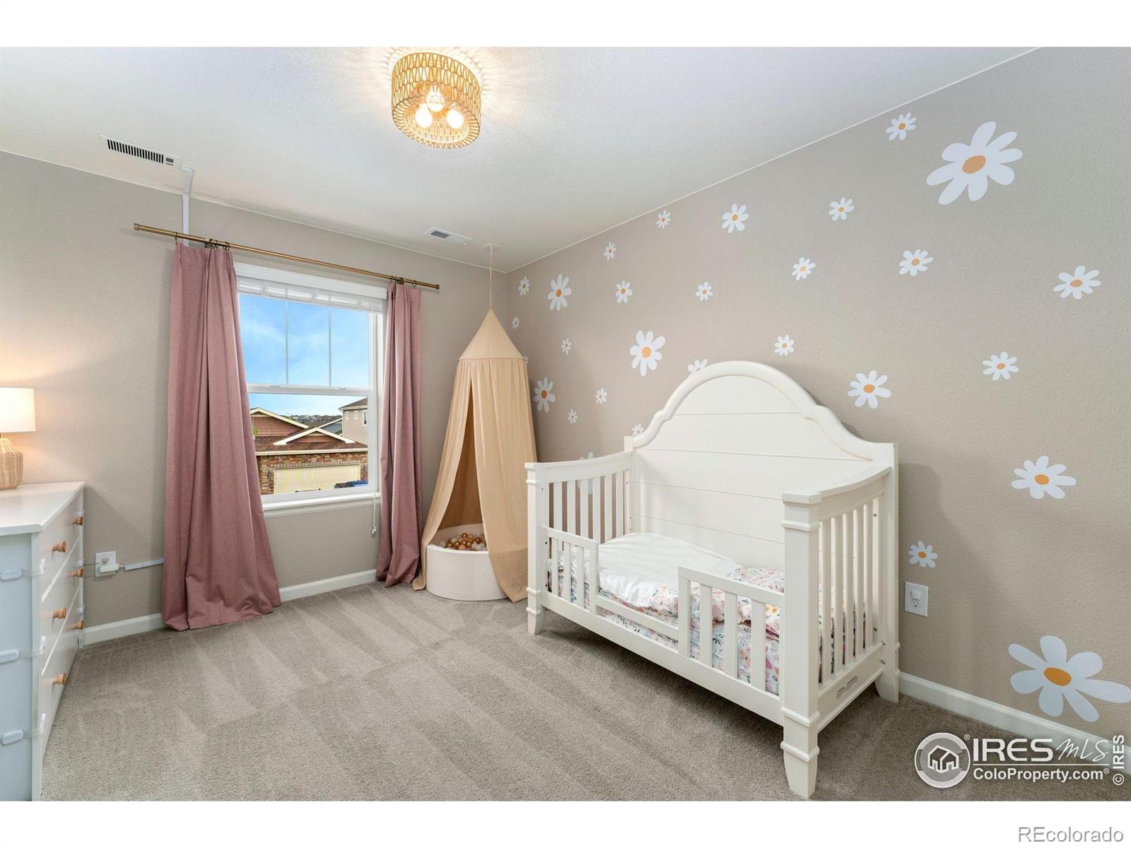 MLS Image #27 for 1178  mcmurdo circle,castle rock, Colorado