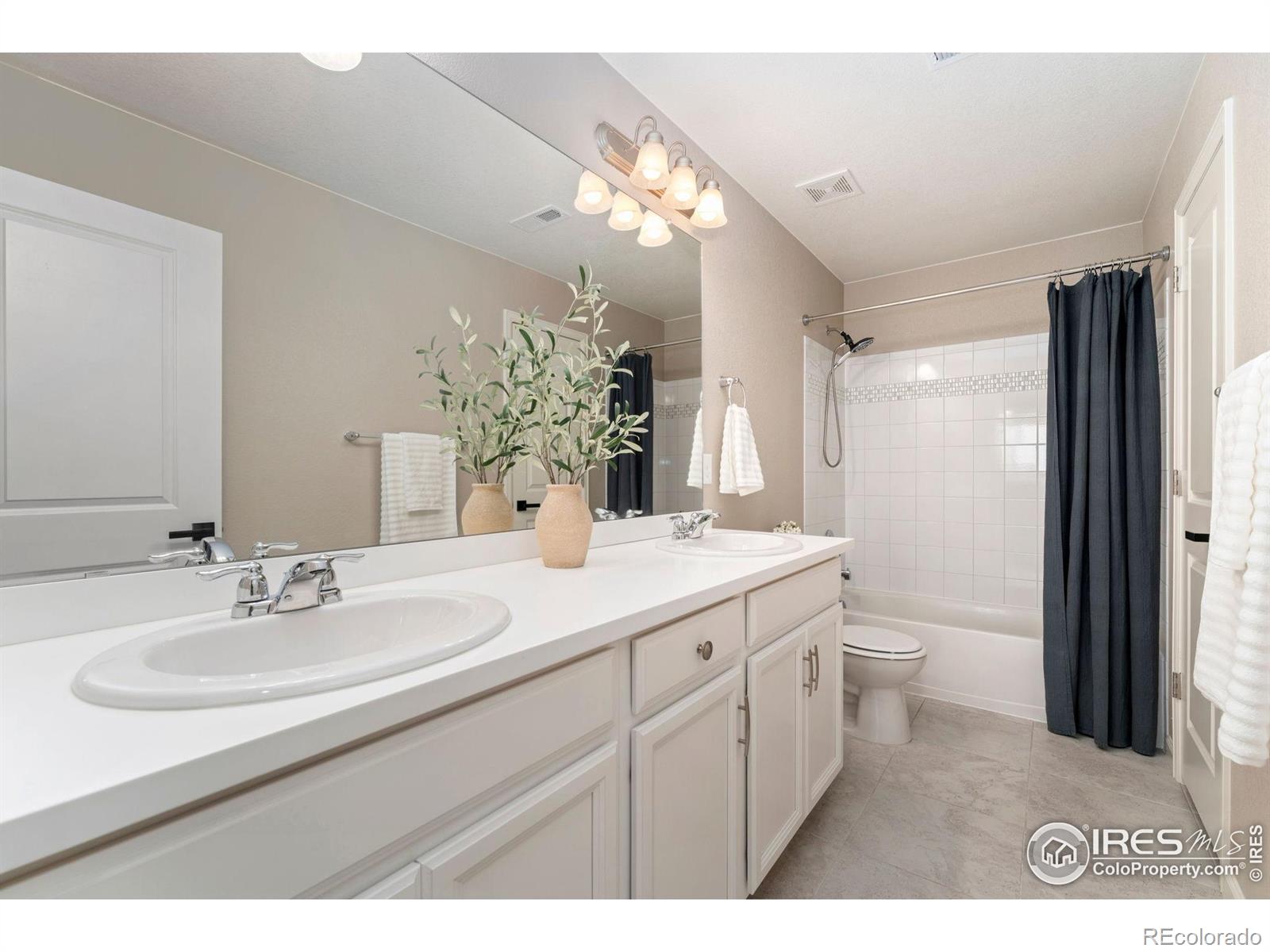 MLS Image #28 for 1178  mcmurdo circle,castle rock, Colorado