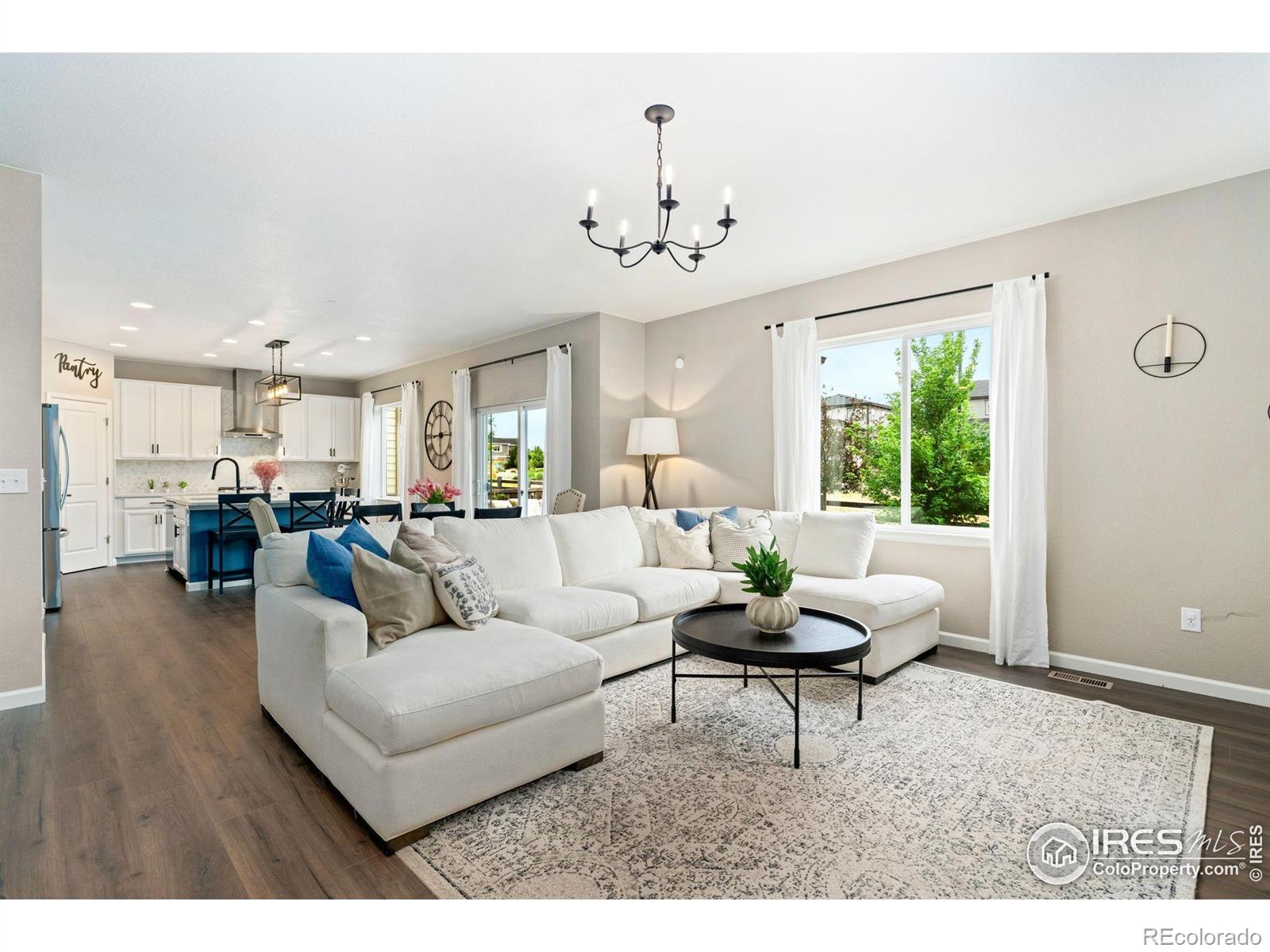 MLS Image #3 for 1178  mcmurdo circle,castle rock, Colorado