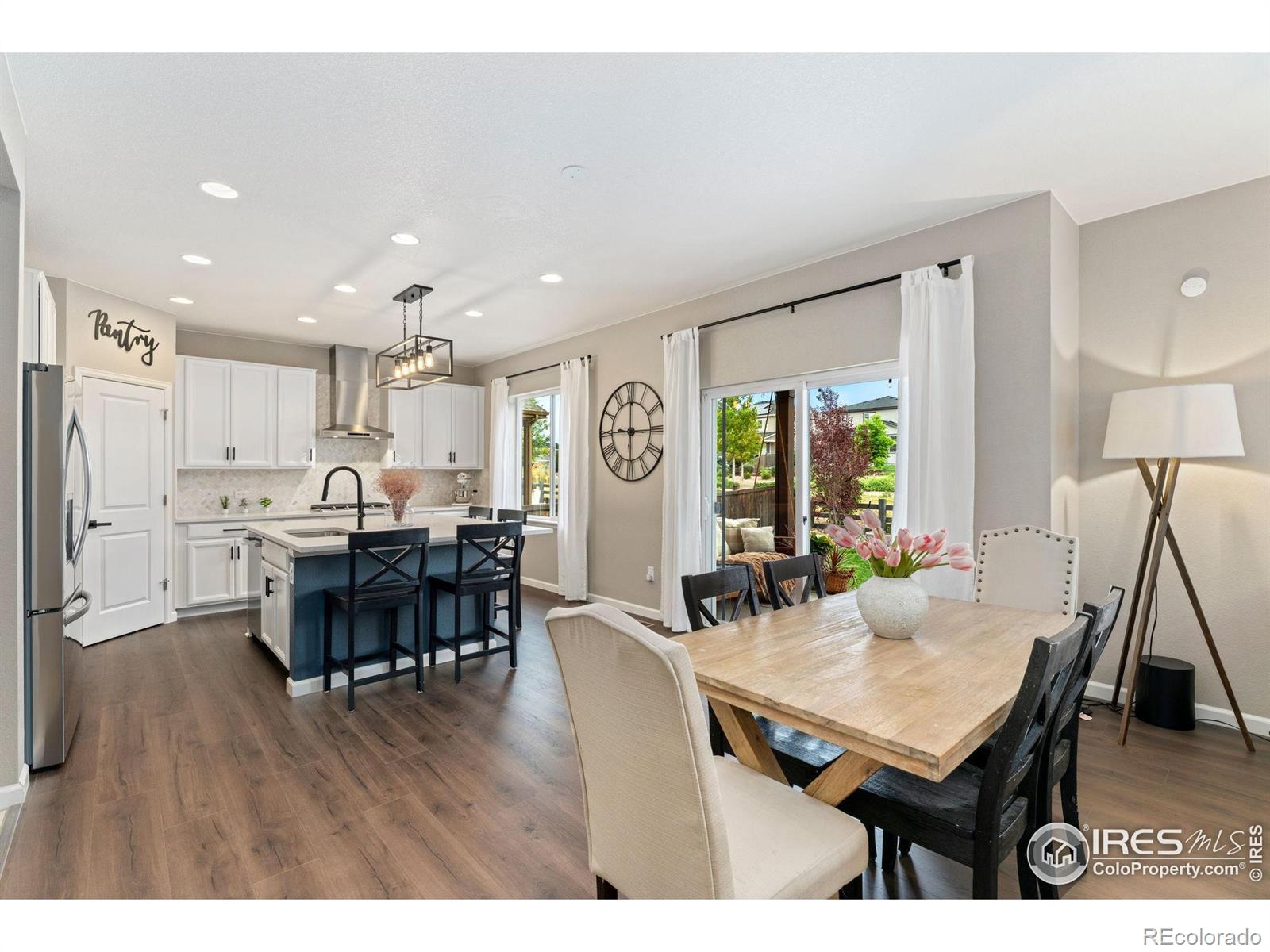 MLS Image #6 for 1178  mcmurdo circle,castle rock, Colorado