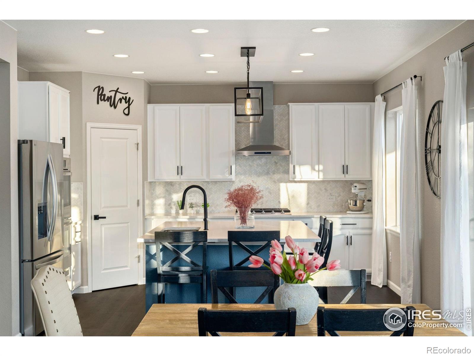 MLS Image #8 for 1178  mcmurdo circle,castle rock, Colorado
