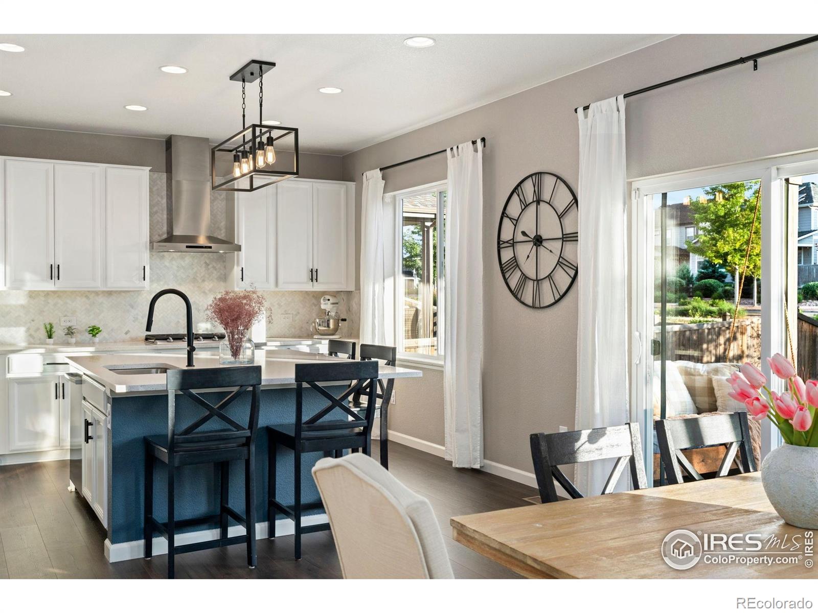 MLS Image #9 for 1178  mcmurdo circle,castle rock, Colorado