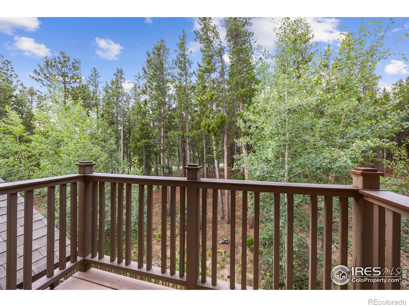 MLS Image #11 for 225  indian peaks drive,nederland, Colorado