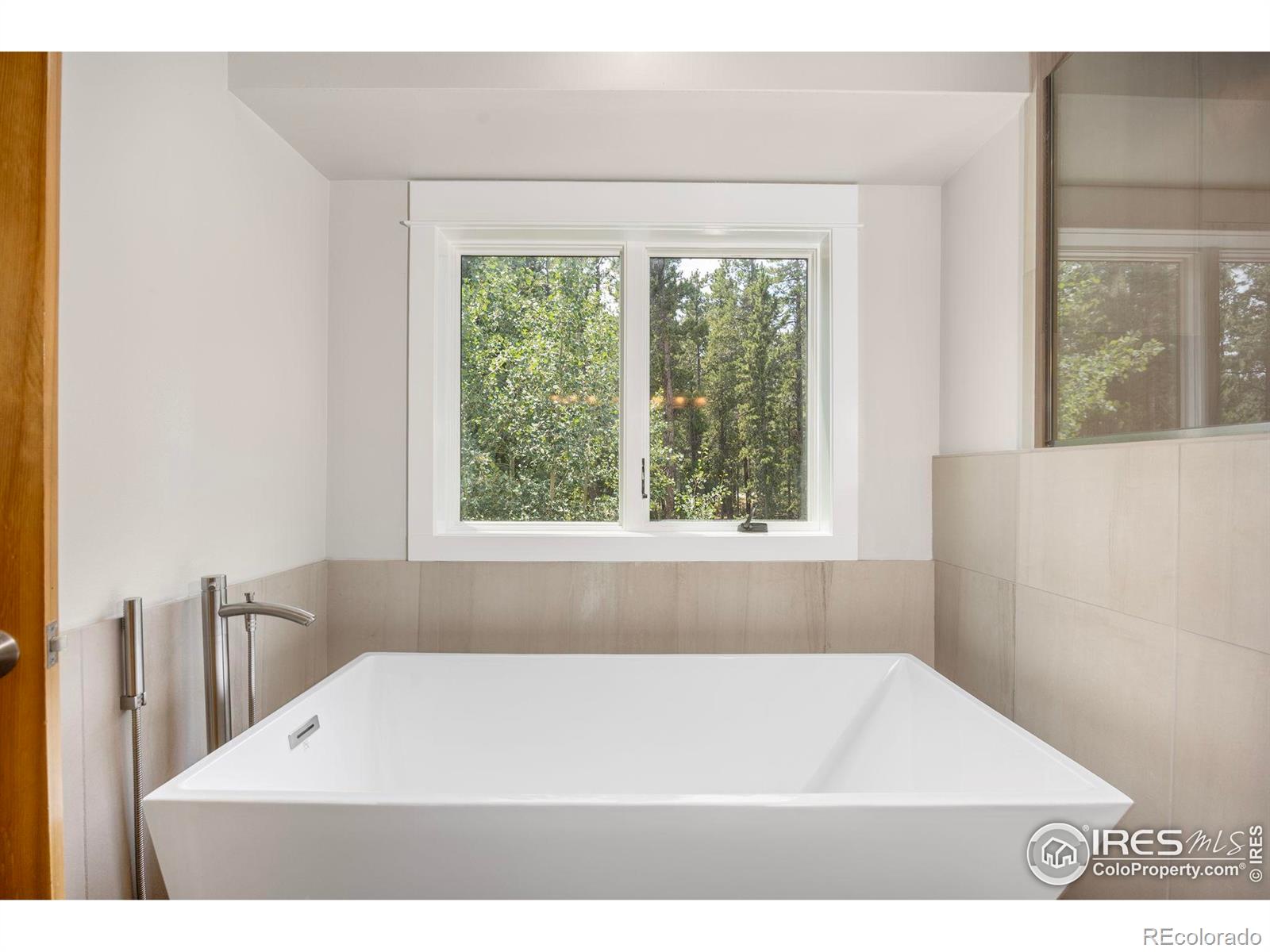 MLS Image #13 for 225  indian peaks drive,nederland, Colorado