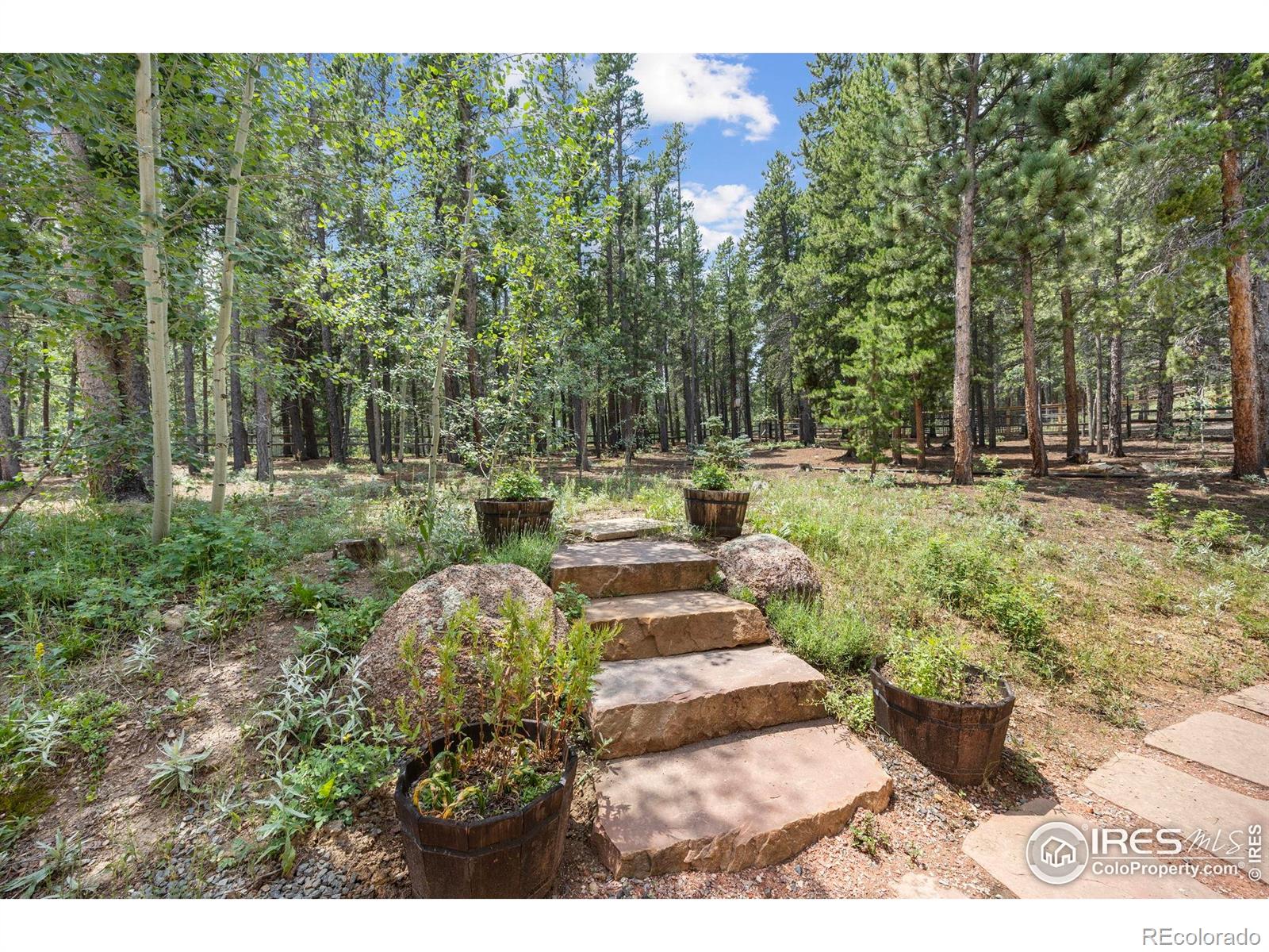 MLS Image #30 for 225  indian peaks drive,nederland, Colorado