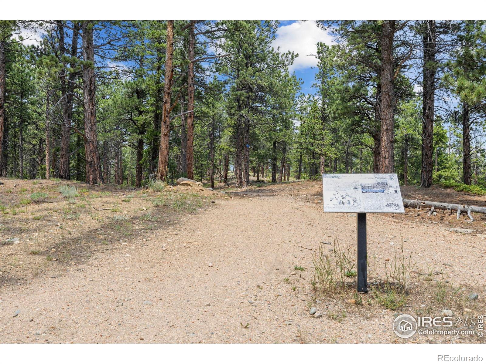 MLS Image #33 for 225  indian peaks drive,nederland, Colorado