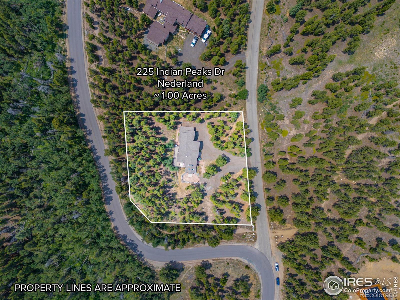 MLS Image #36 for 225  indian peaks drive,nederland, Colorado