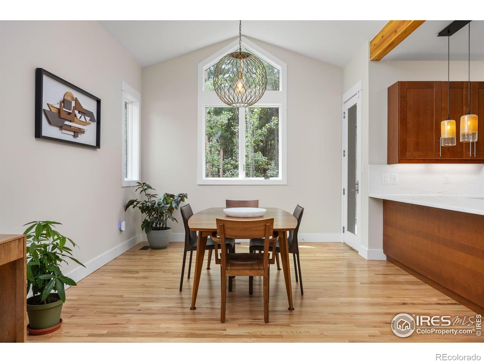 MLS Image #6 for 225  indian peaks drive,nederland, Colorado