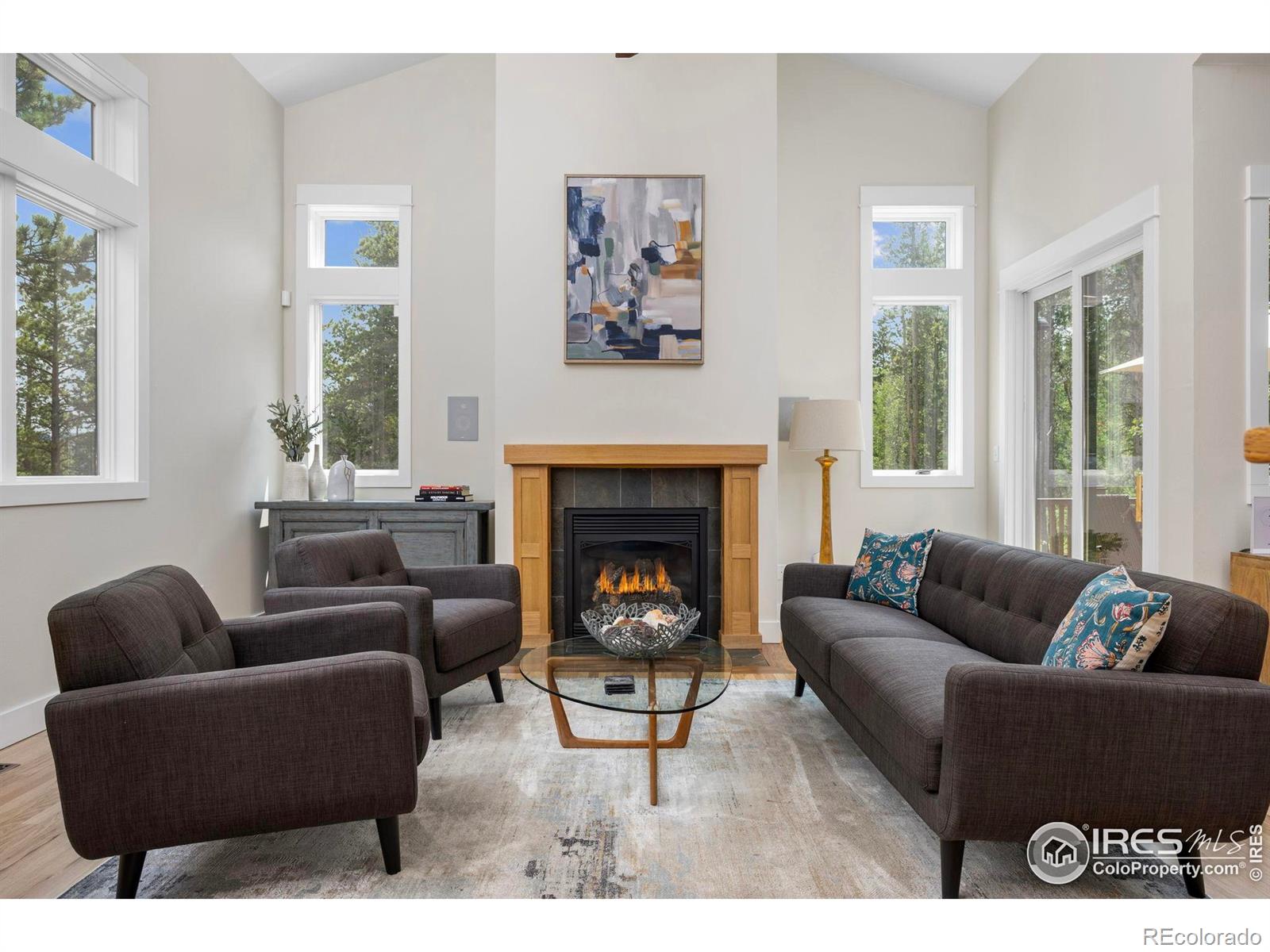 MLS Image #7 for 225  indian peaks drive,nederland, Colorado