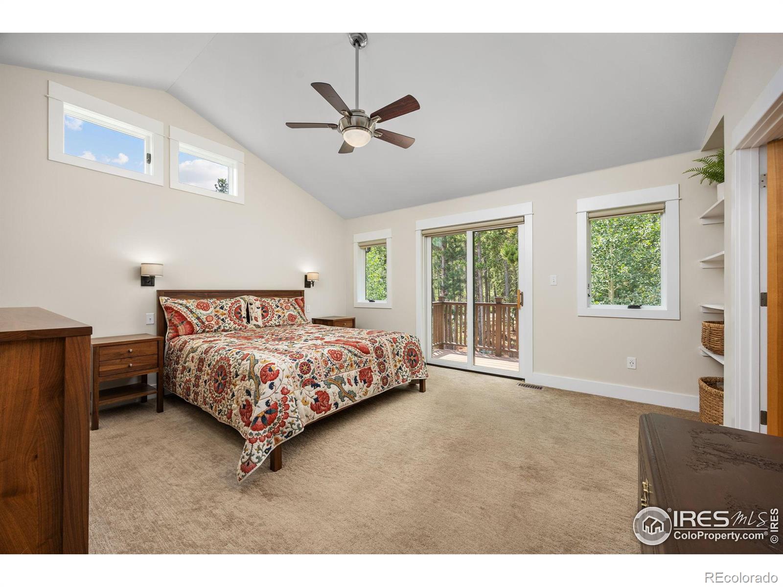 MLS Image #9 for 225  indian peaks drive,nederland, Colorado