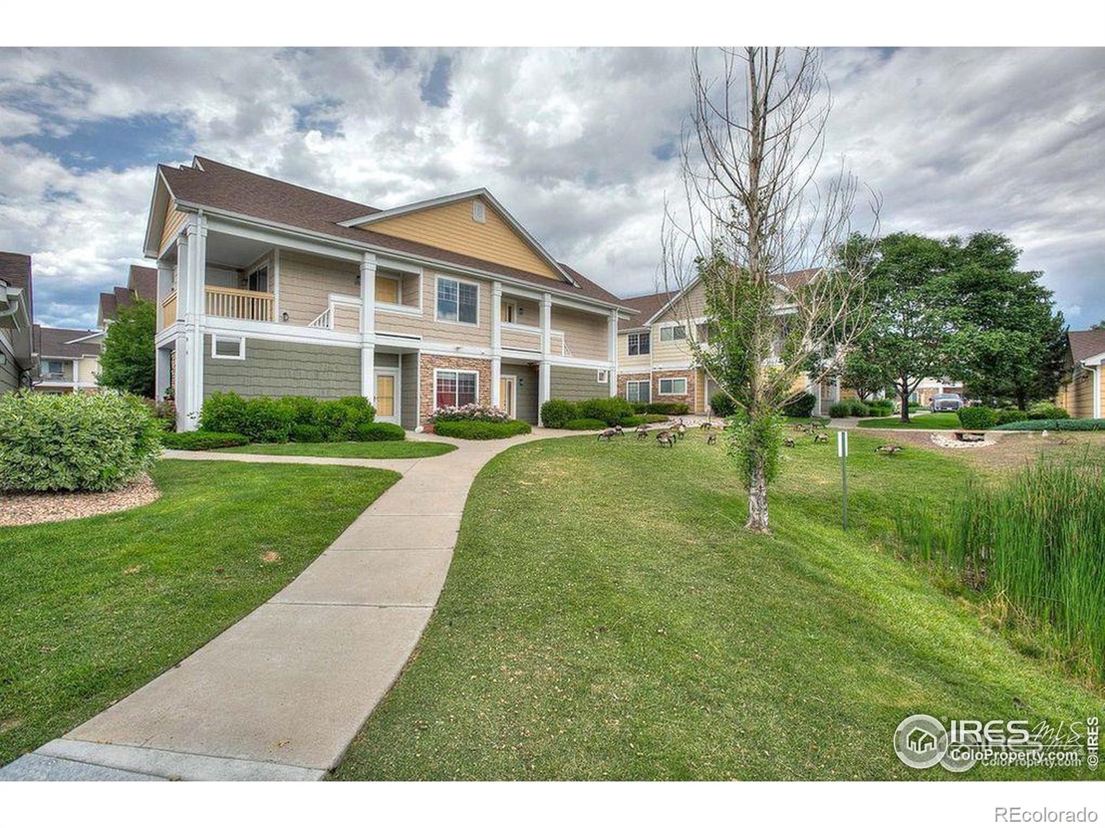 MLS Image #0 for 4815  hahns peak drive,loveland, Colorado