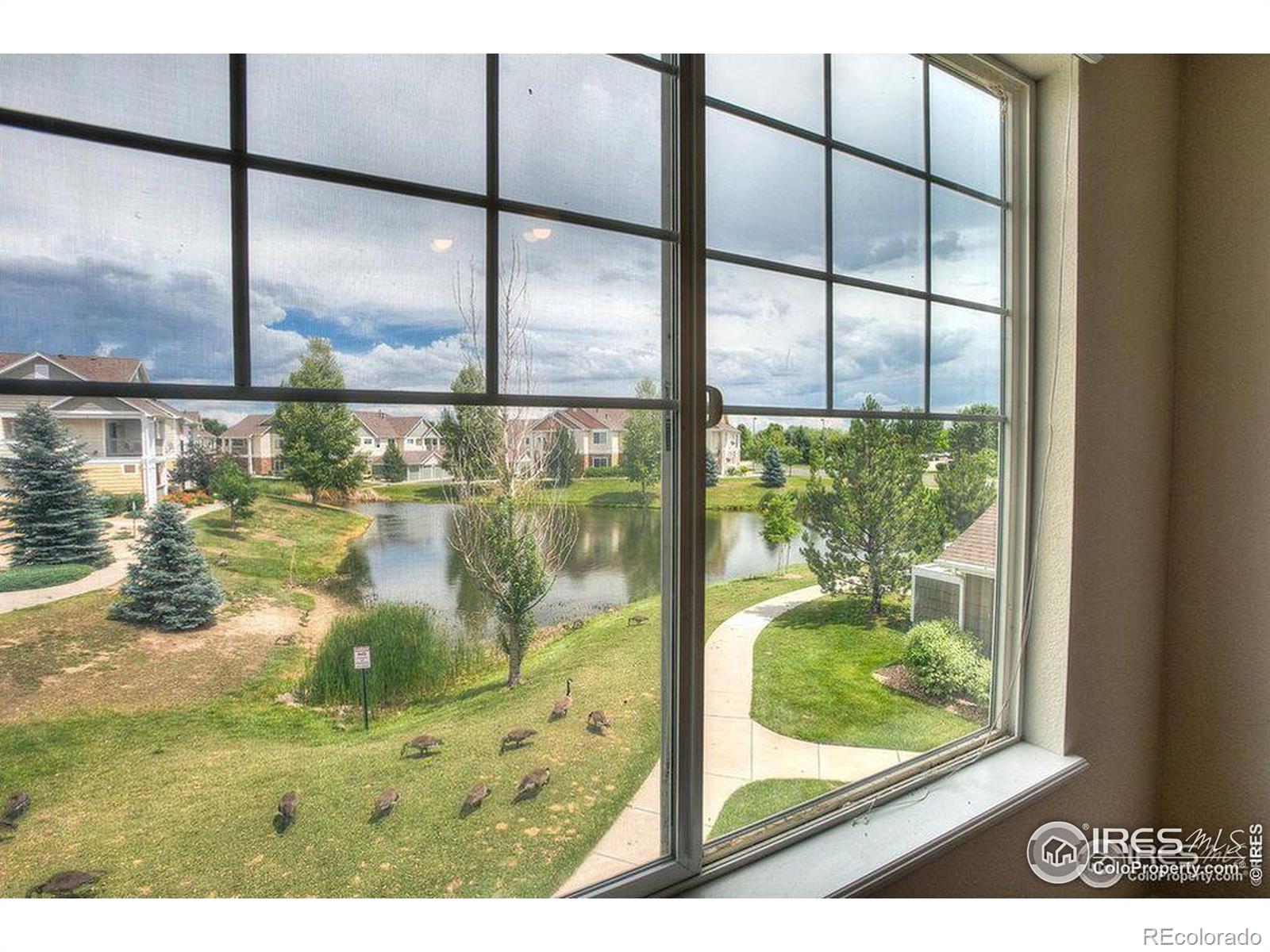 MLS Image #4 for 4815  hahns peak drive,loveland, Colorado
