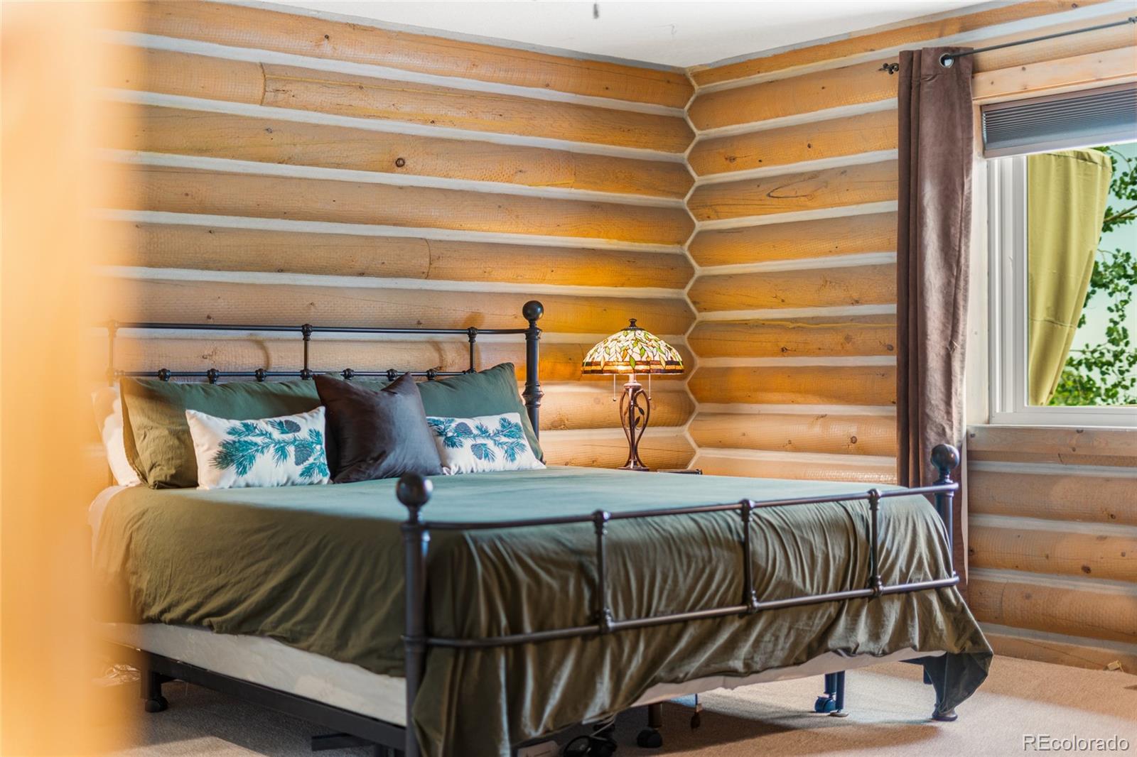 MLS Image #14 for 10777  timothys drive,conifer, Colorado