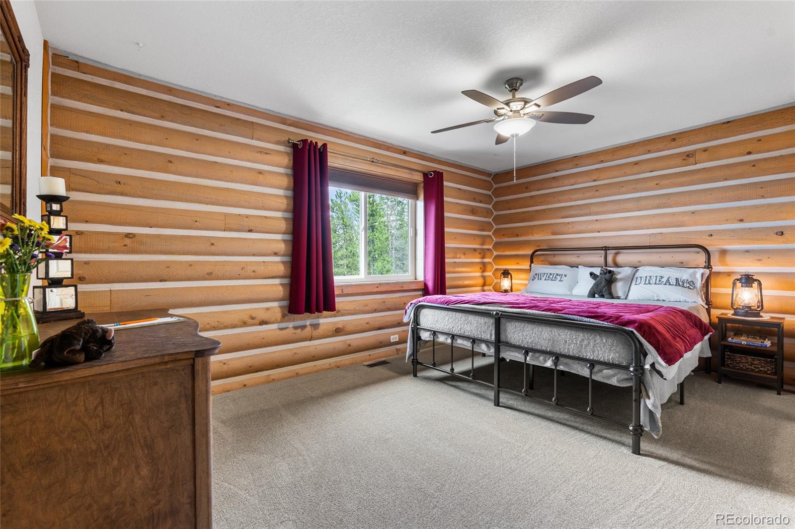 MLS Image #18 for 10777  timothys drive,conifer, Colorado