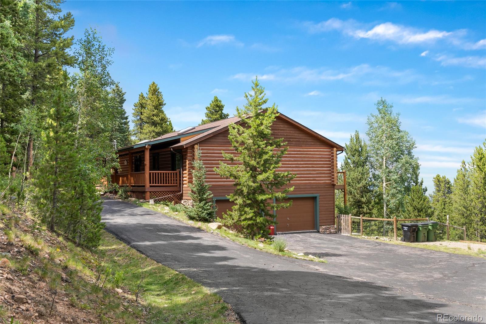MLS Image #3 for 10777  timothys drive,conifer, Colorado