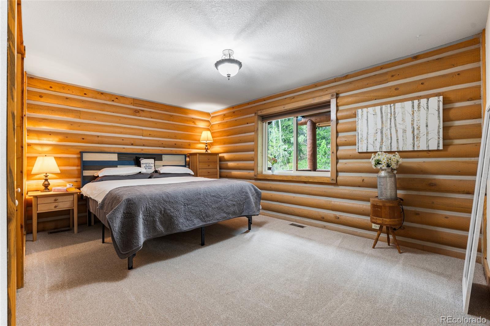 MLS Image #35 for 10777  timothys drive,conifer, Colorado